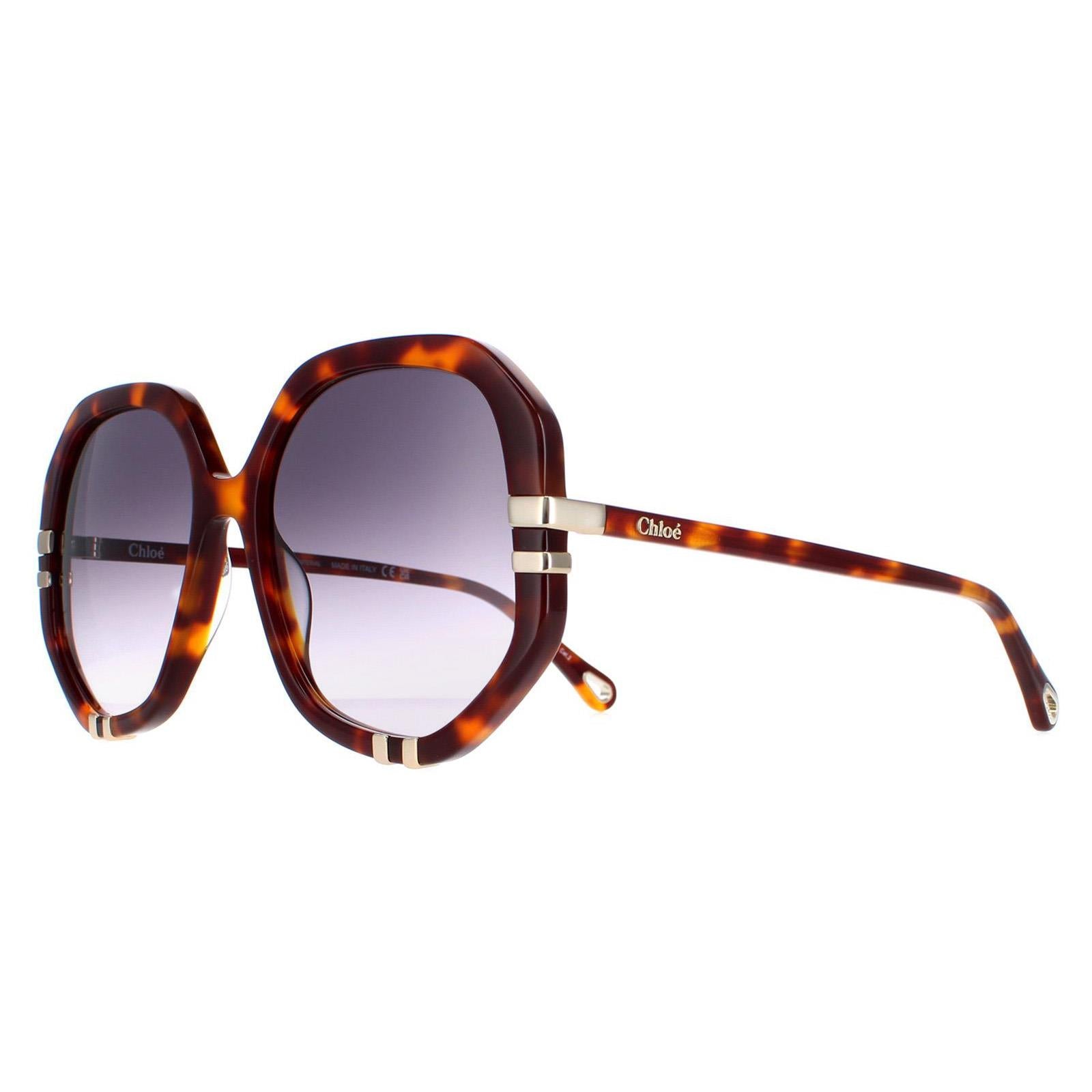 Chloe CH0105S Womens Brown Sunglasses