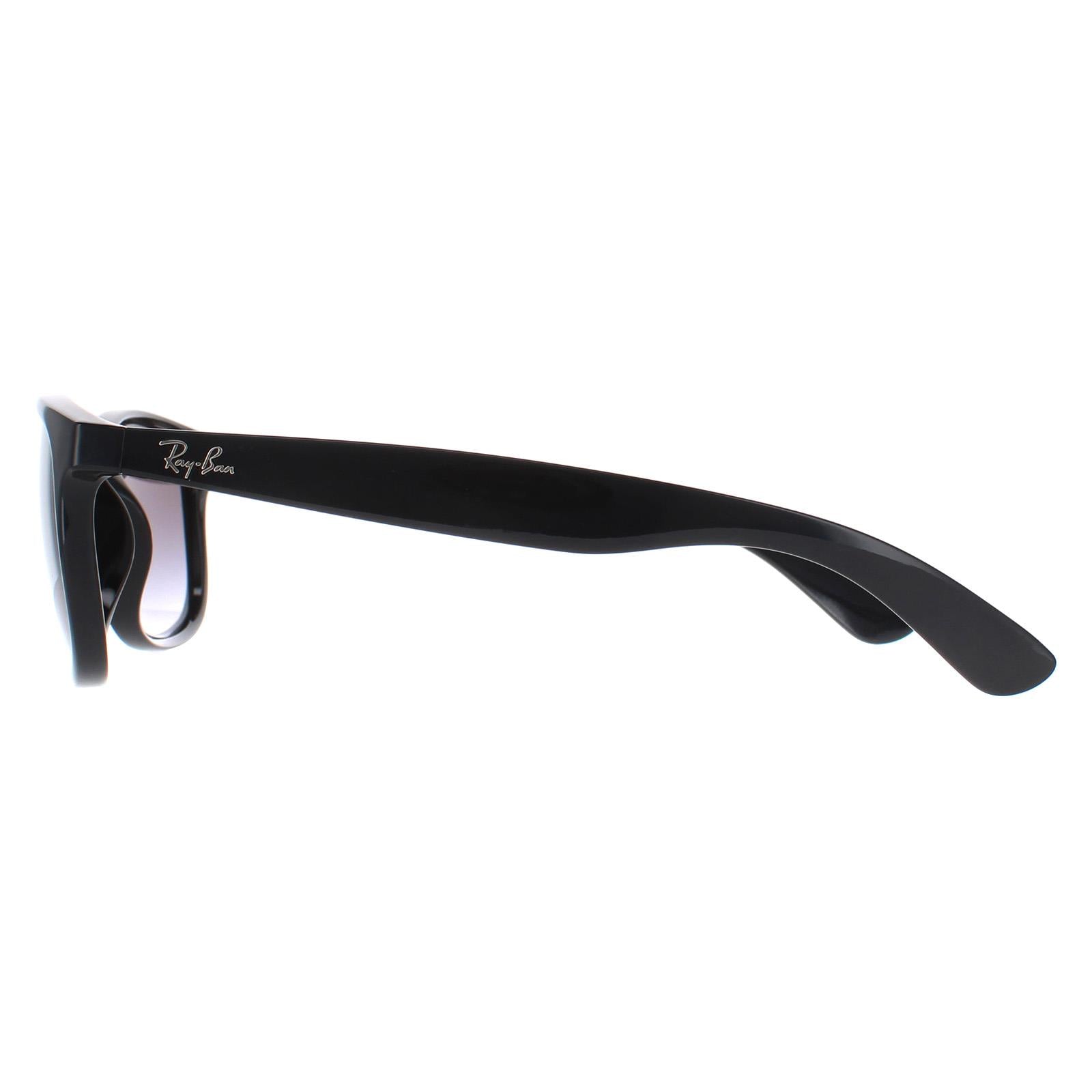 Ray-Ban Andy 4202 Mens Black Sunglasses