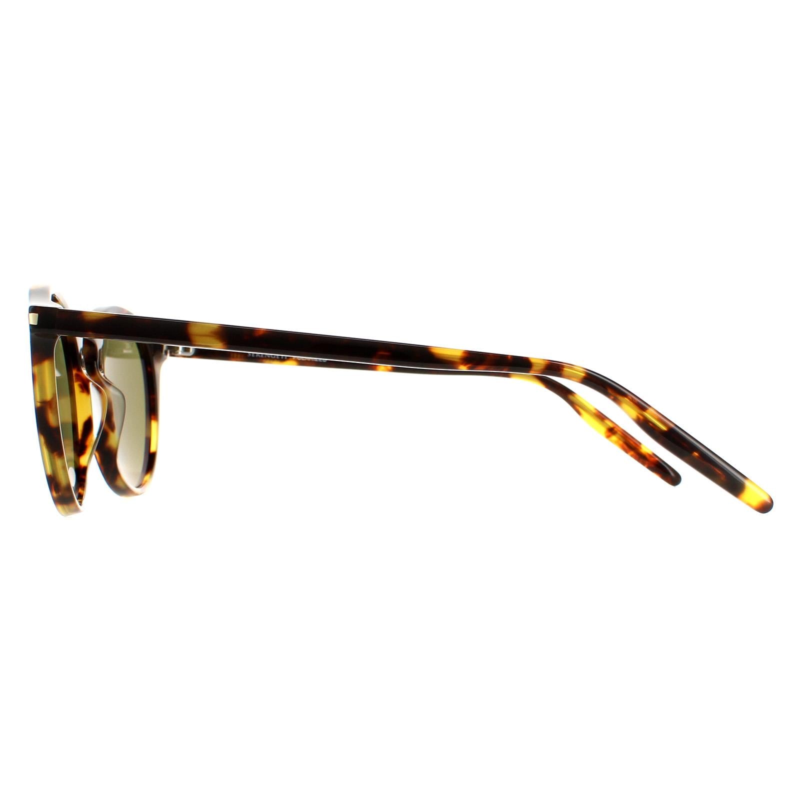 Serengeti Raffaele Unisex Brown Sunglasses