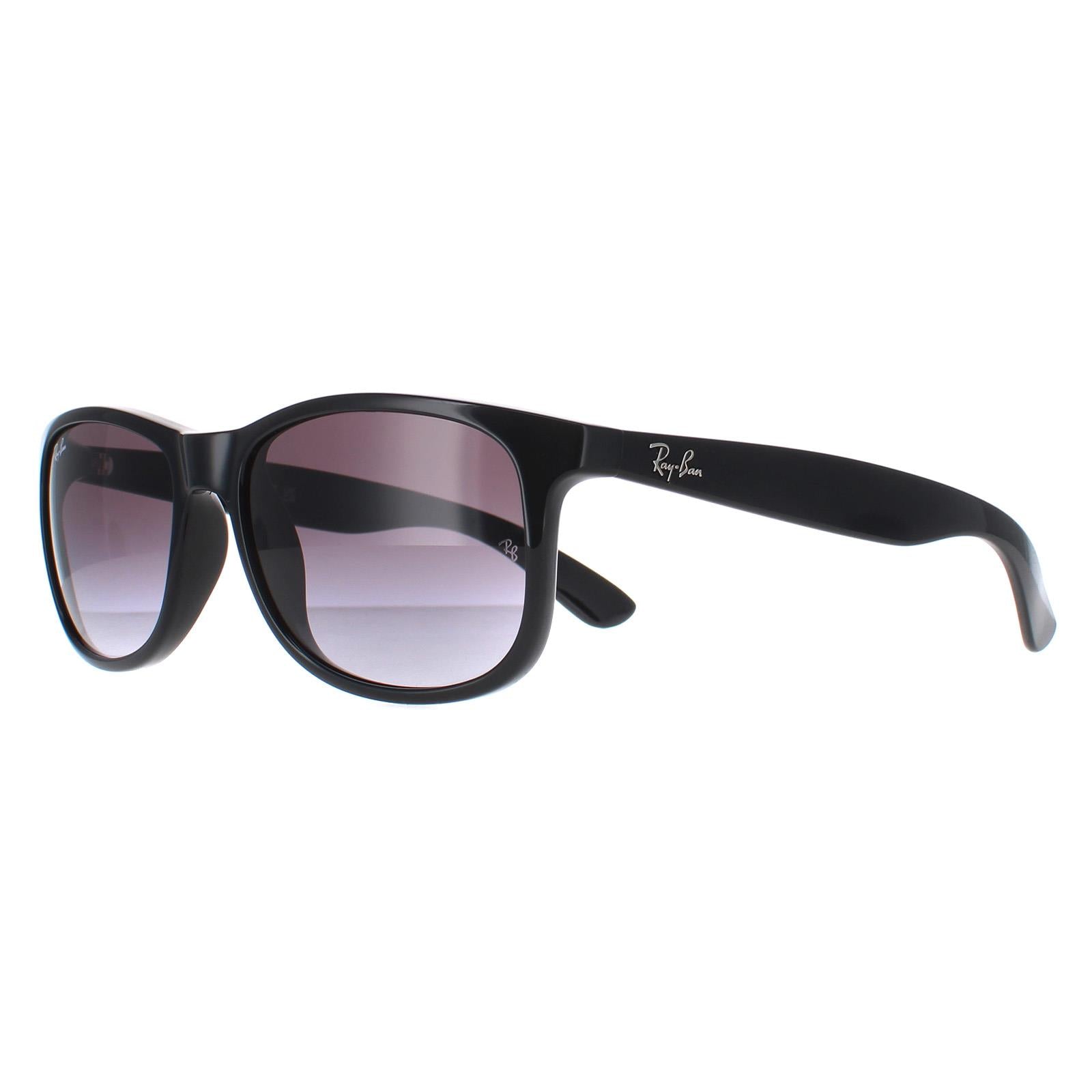 Ray-Ban Andy 4202 Mens Black Sunglasses