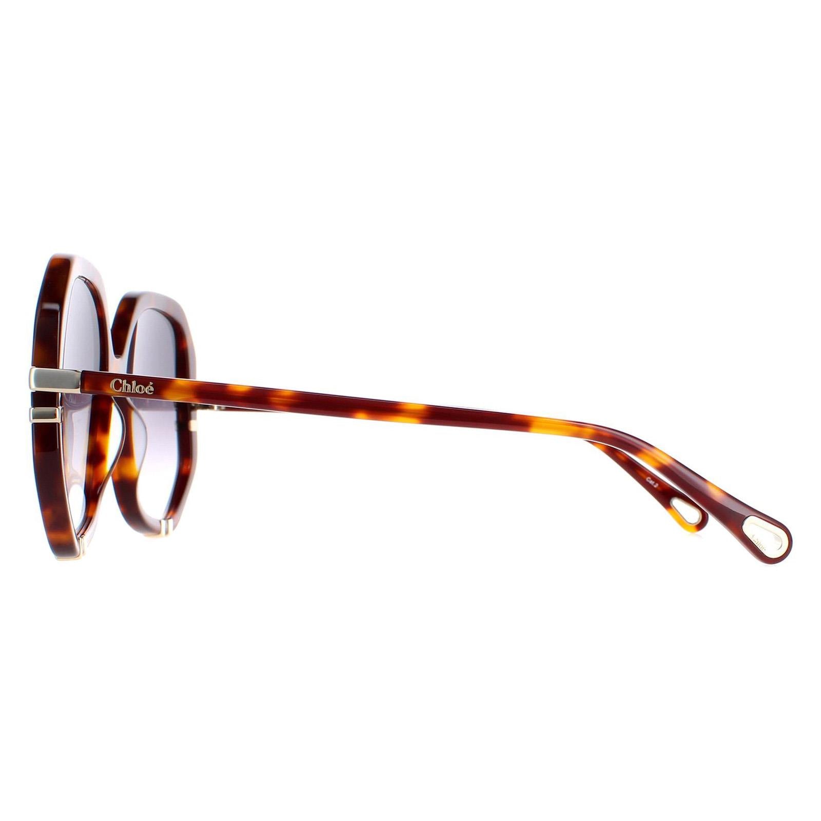 Chloe CH0105S Womens Brown Sunglasses