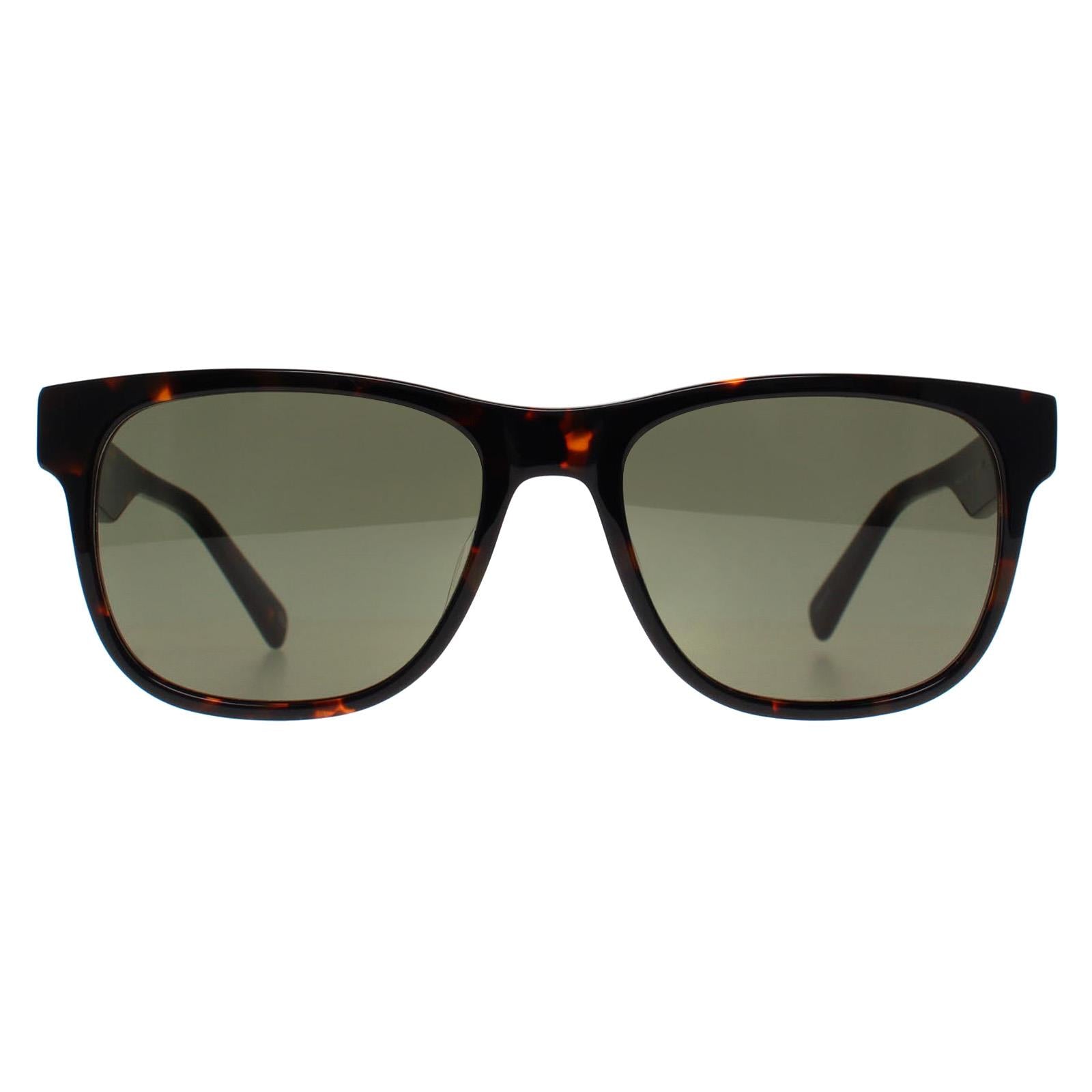 Banana Republic BR 4008/S Mens Brown Sunglasses