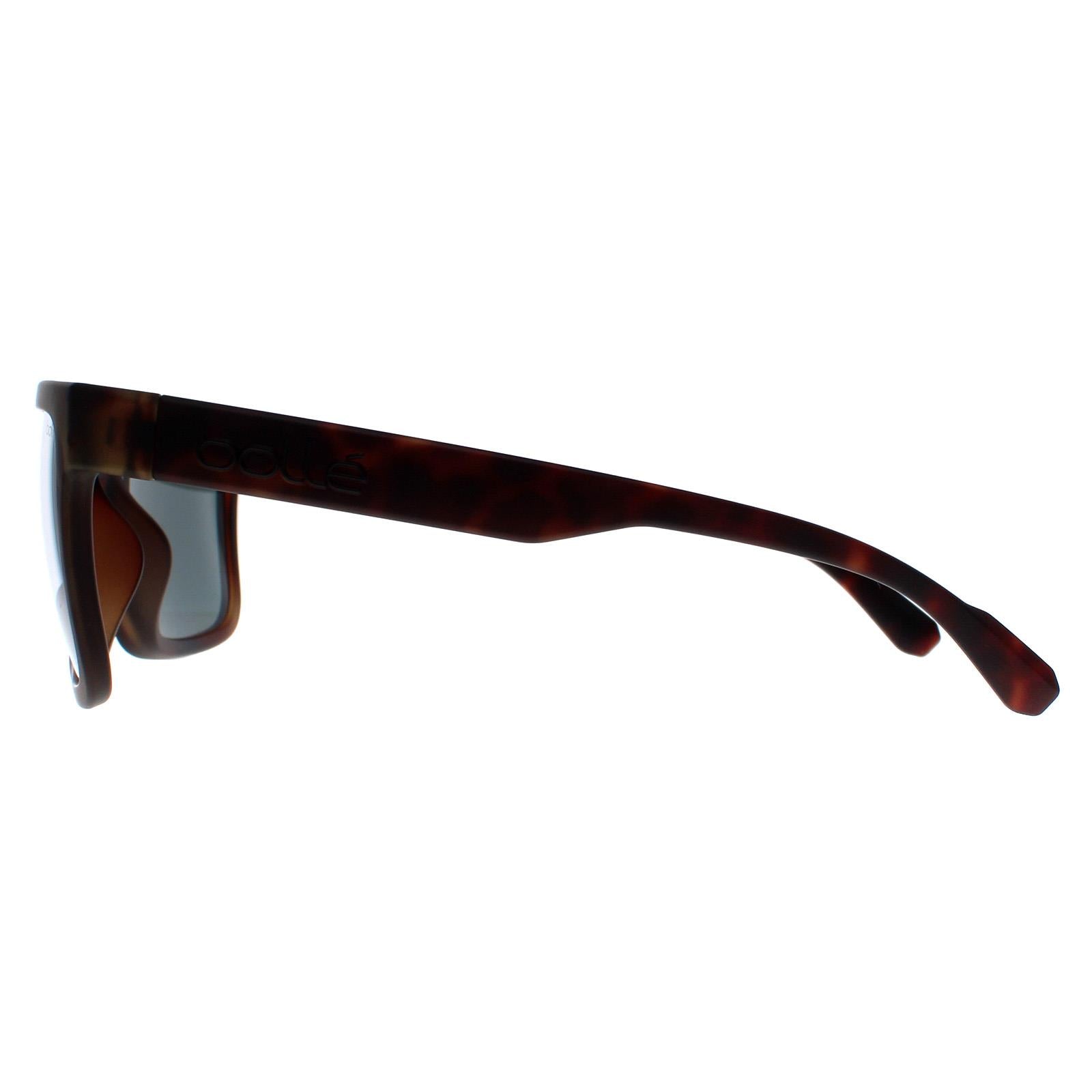 Bolle Frank Unisex Brown Sunglasses