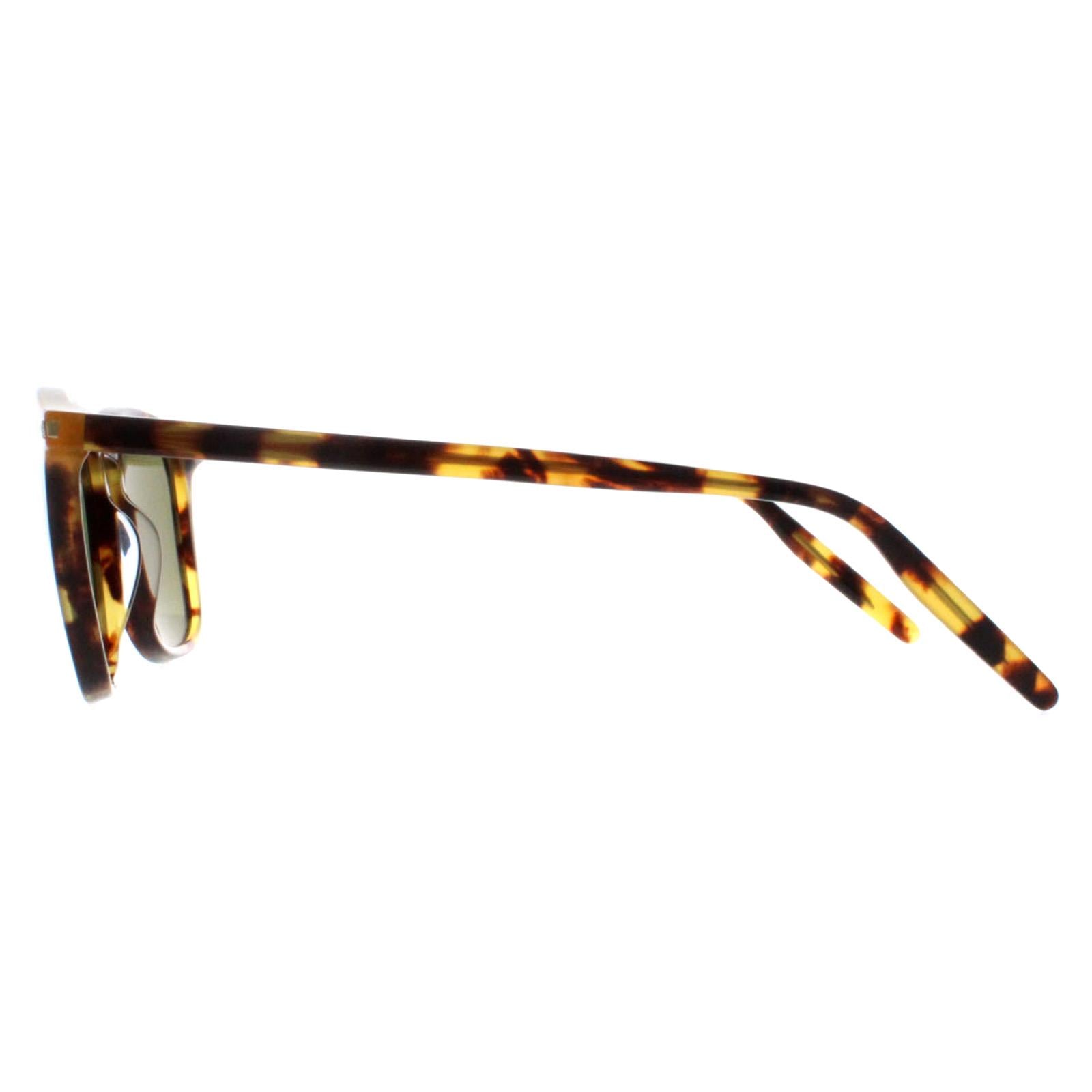 Serengeti Delio Unisex Brown Sunglasses