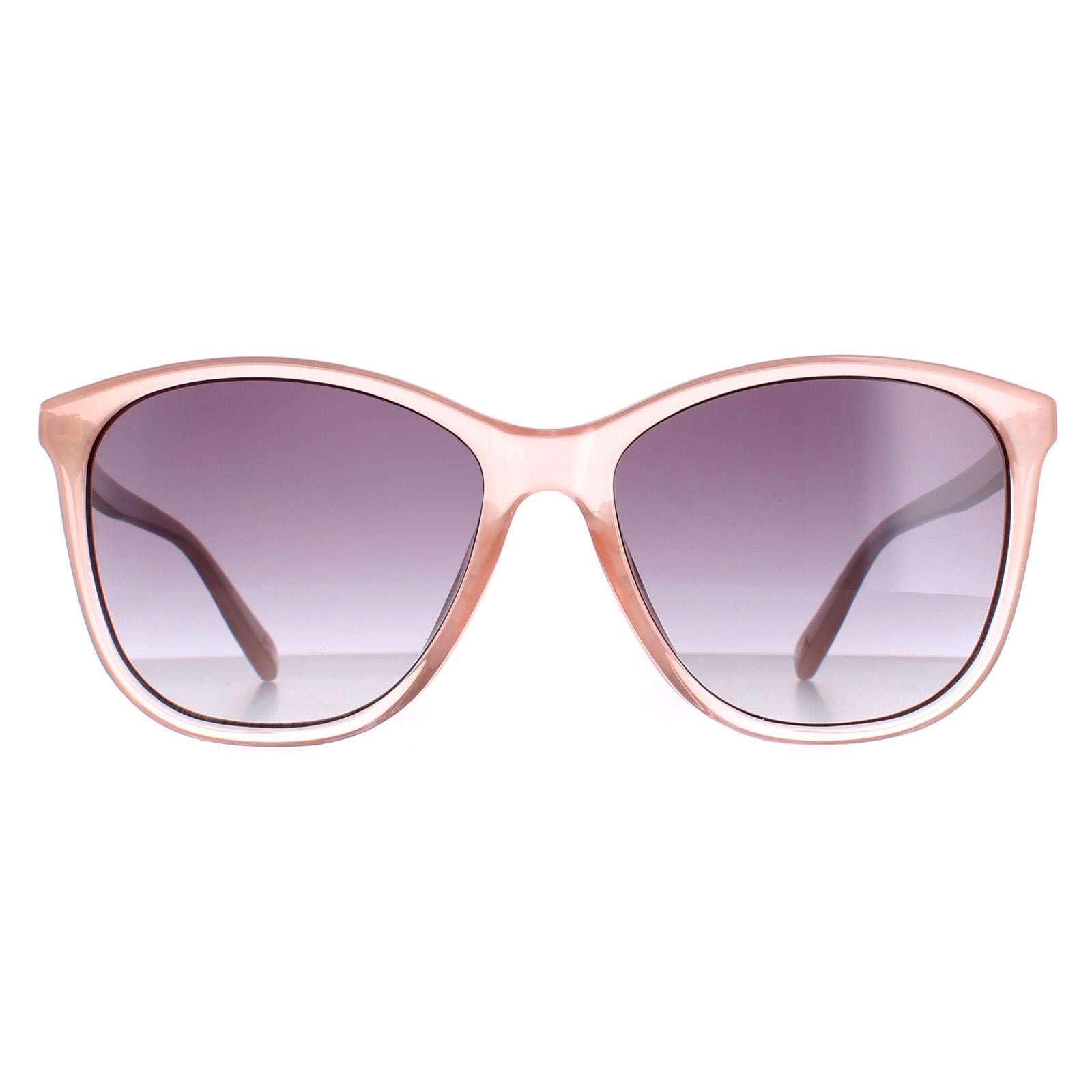 Ted Baker TB1646 Delfi Womens Pink Sunglasses
