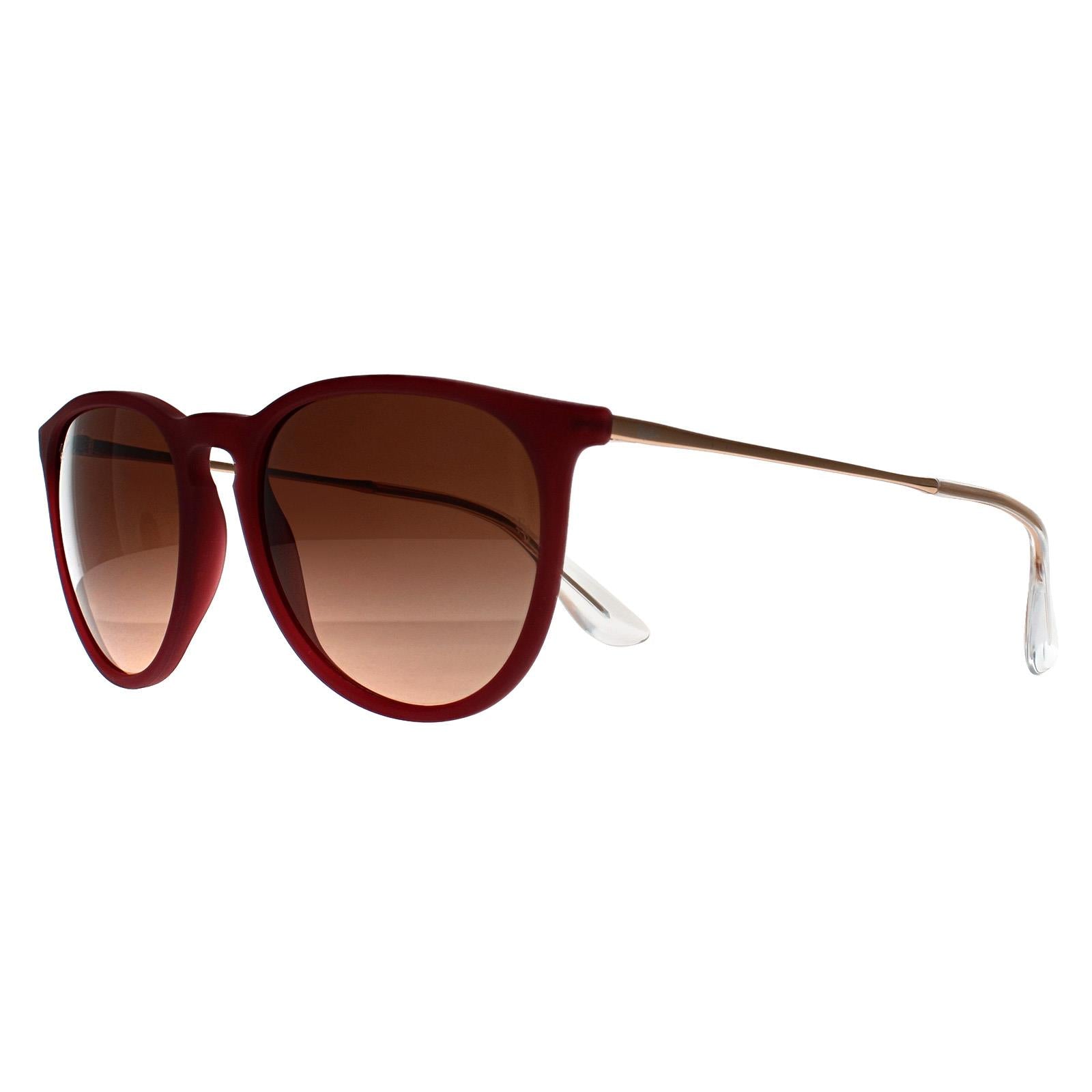 Ray-Ban RB4171 Erika Womens Purple Sunglasses
