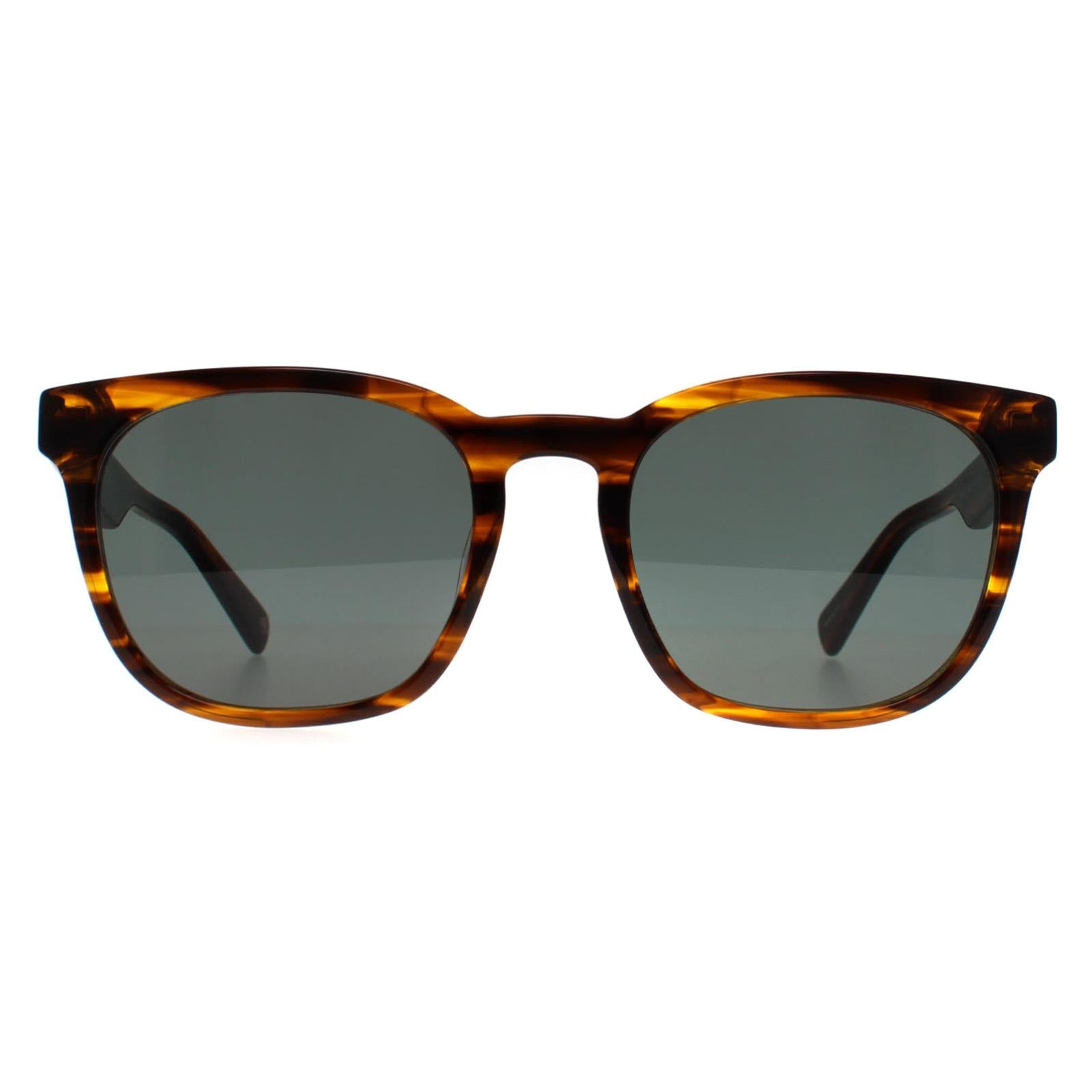Banana Republic BR 4007/S Mens Brown Sunglasses