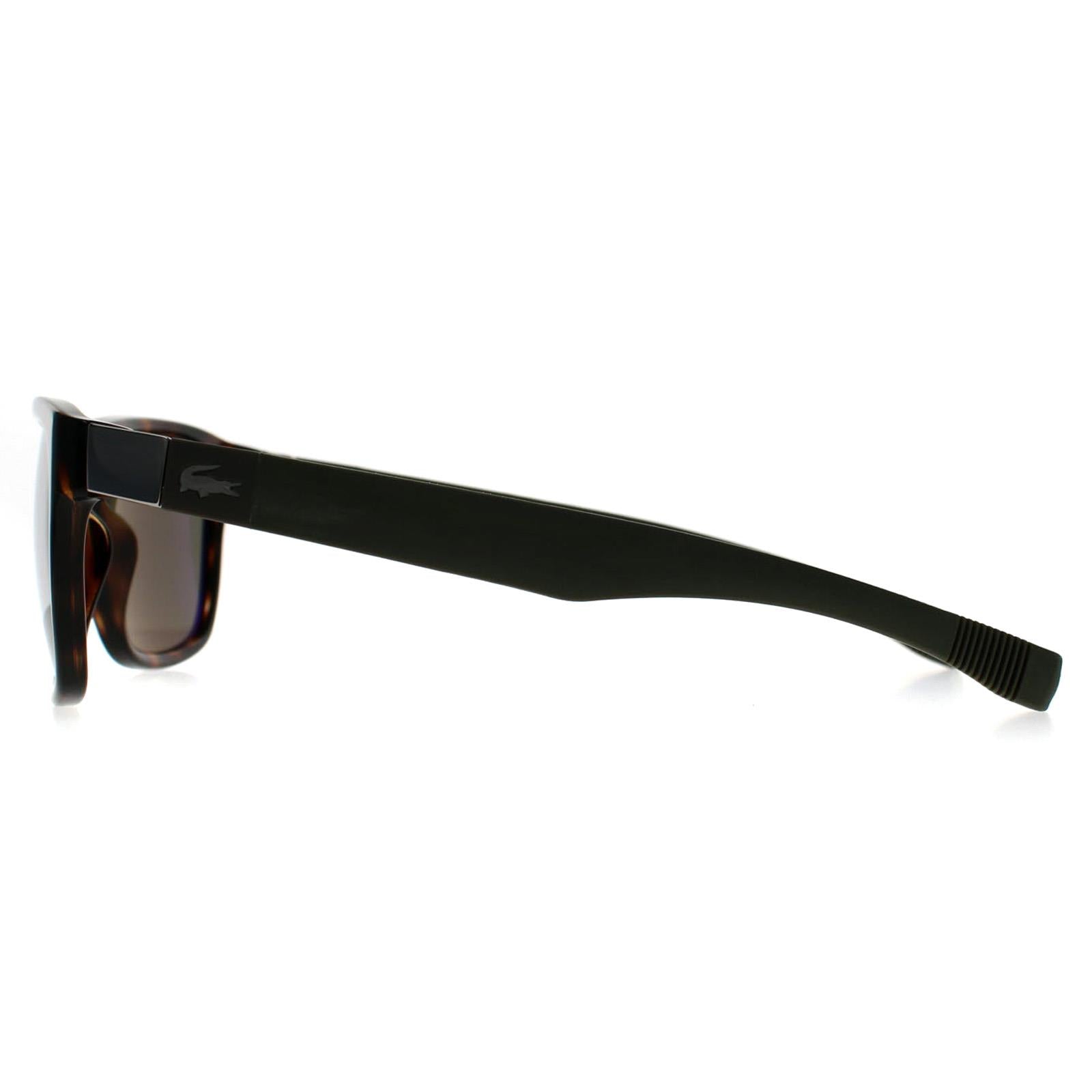 Lacoste L664S Unisex Brown Sunglasses