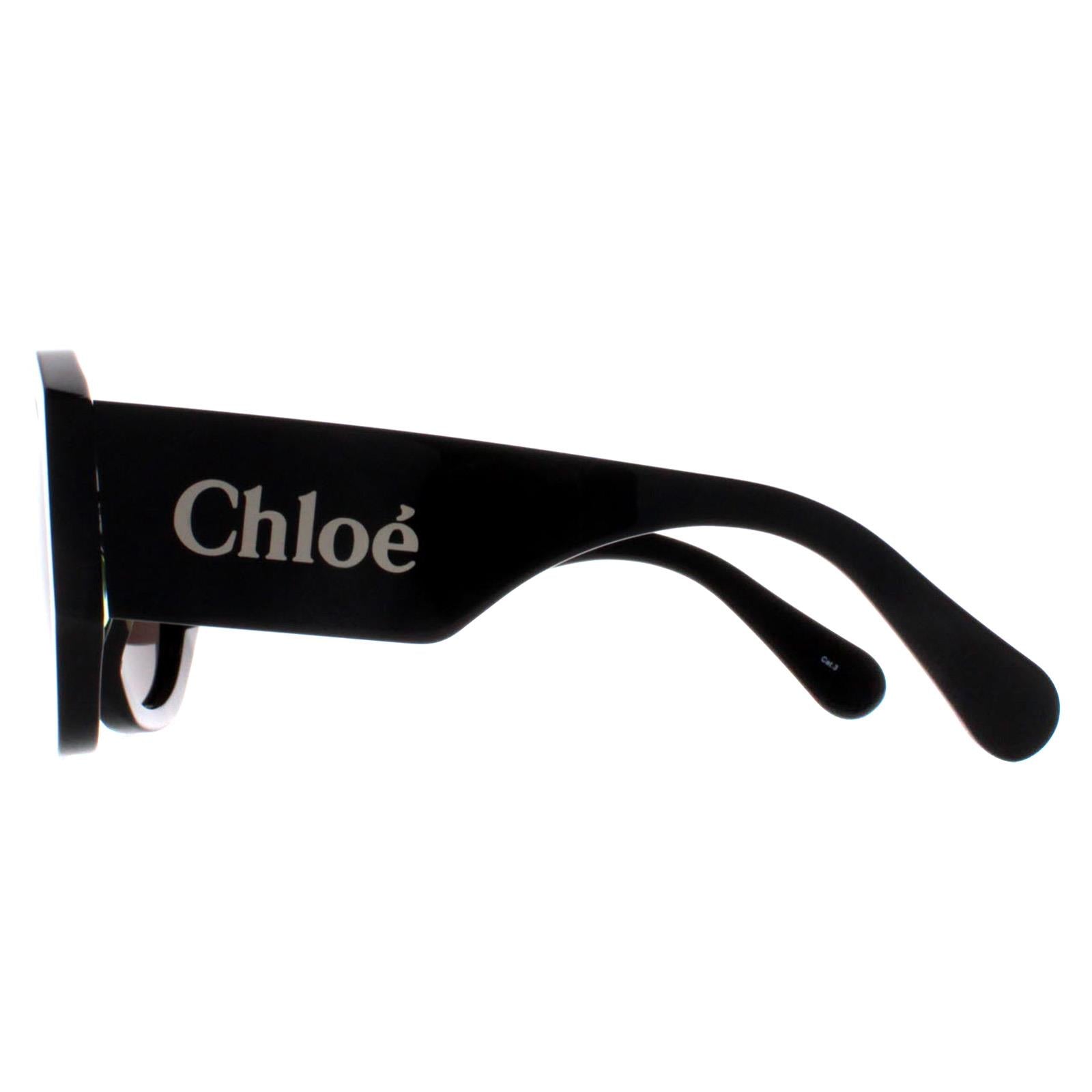 Chloe CH0234S Womens Black Sunglasses