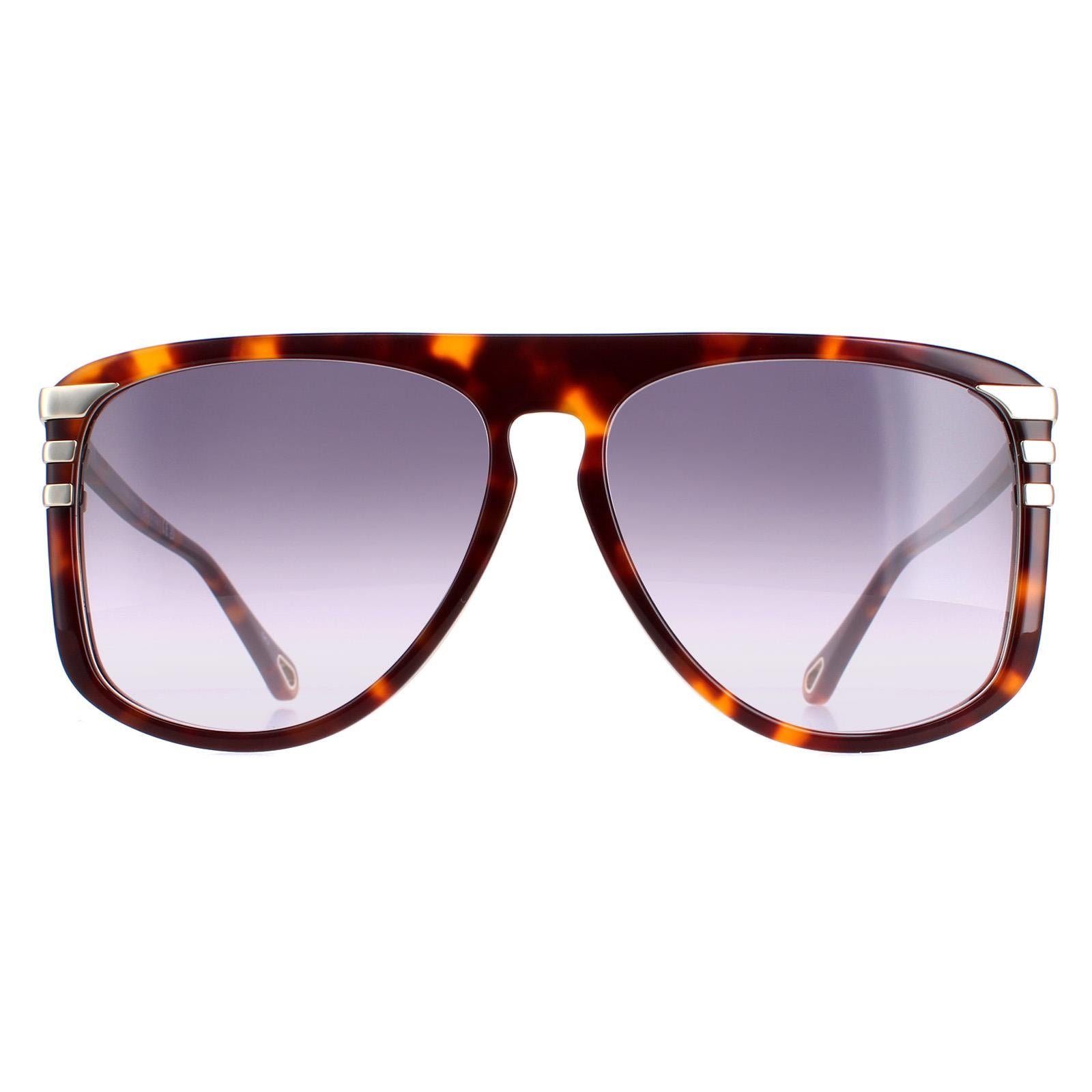 Chloe CH0104S Womens Brown Sunglasses