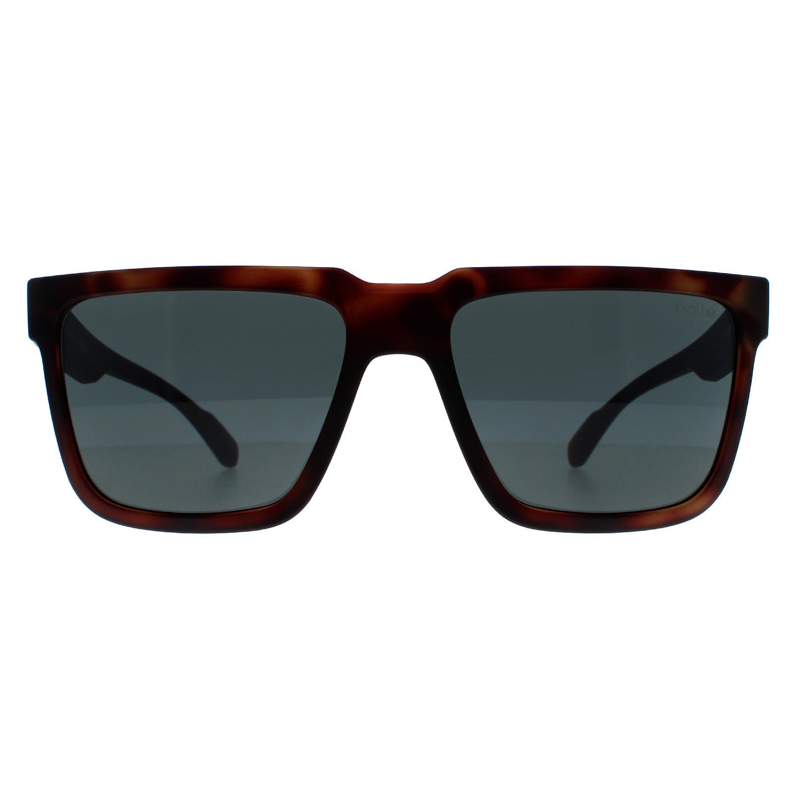 Bolle Frank Unisex Brown Sunglasses