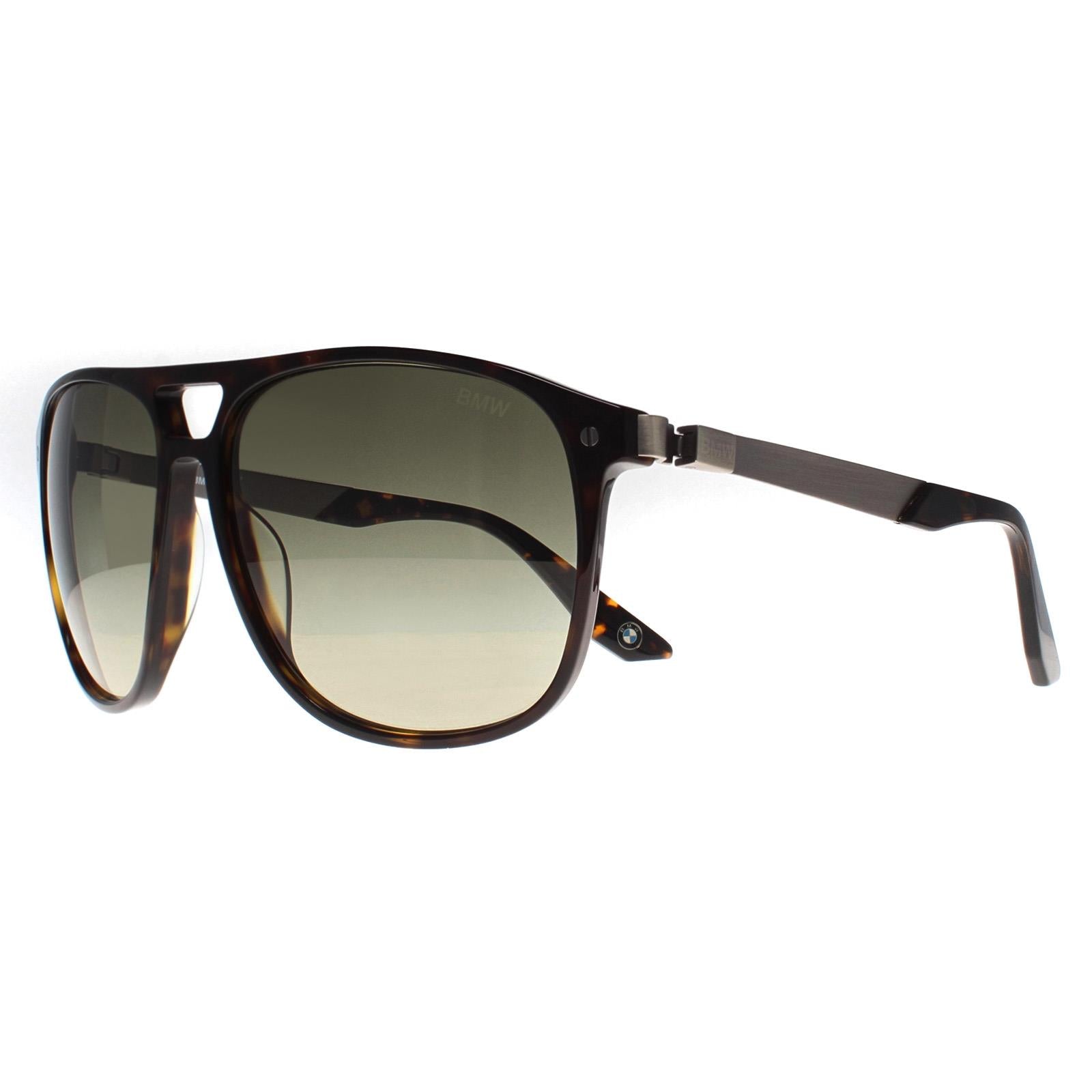 BMW BW0001 Mens Brown Sunglasses