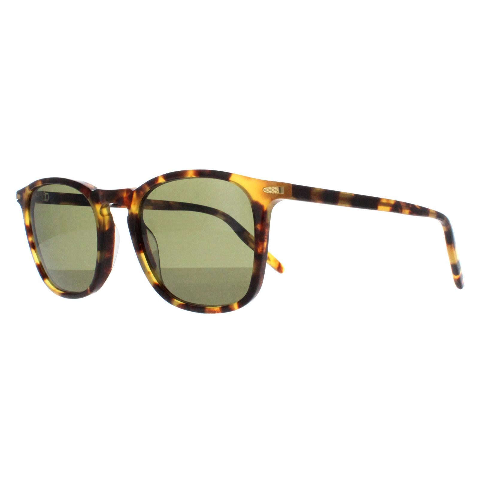 Serengeti Delio Unisex Brown Sunglasses