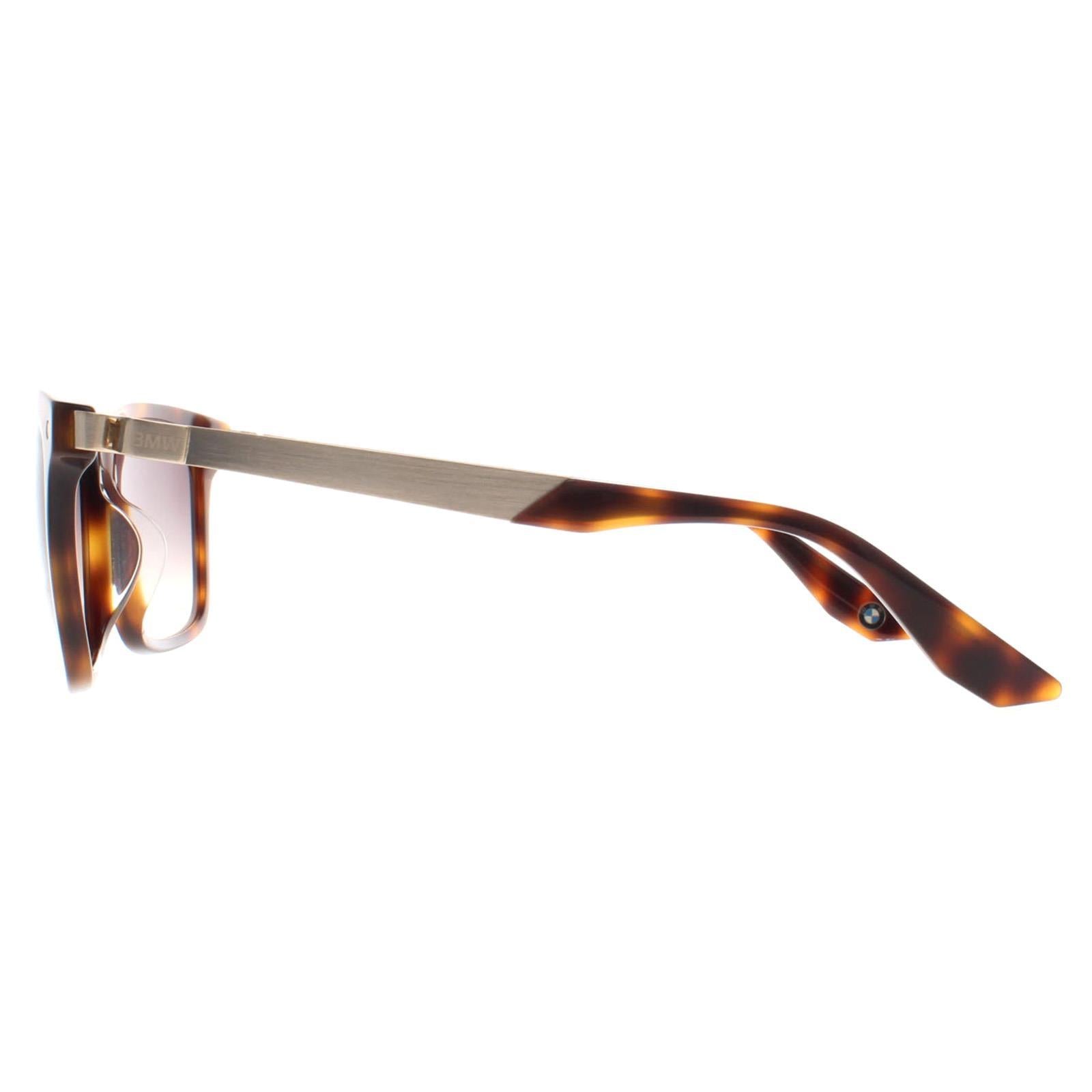 BMW BW0002-H Mens Brown Sunglasses