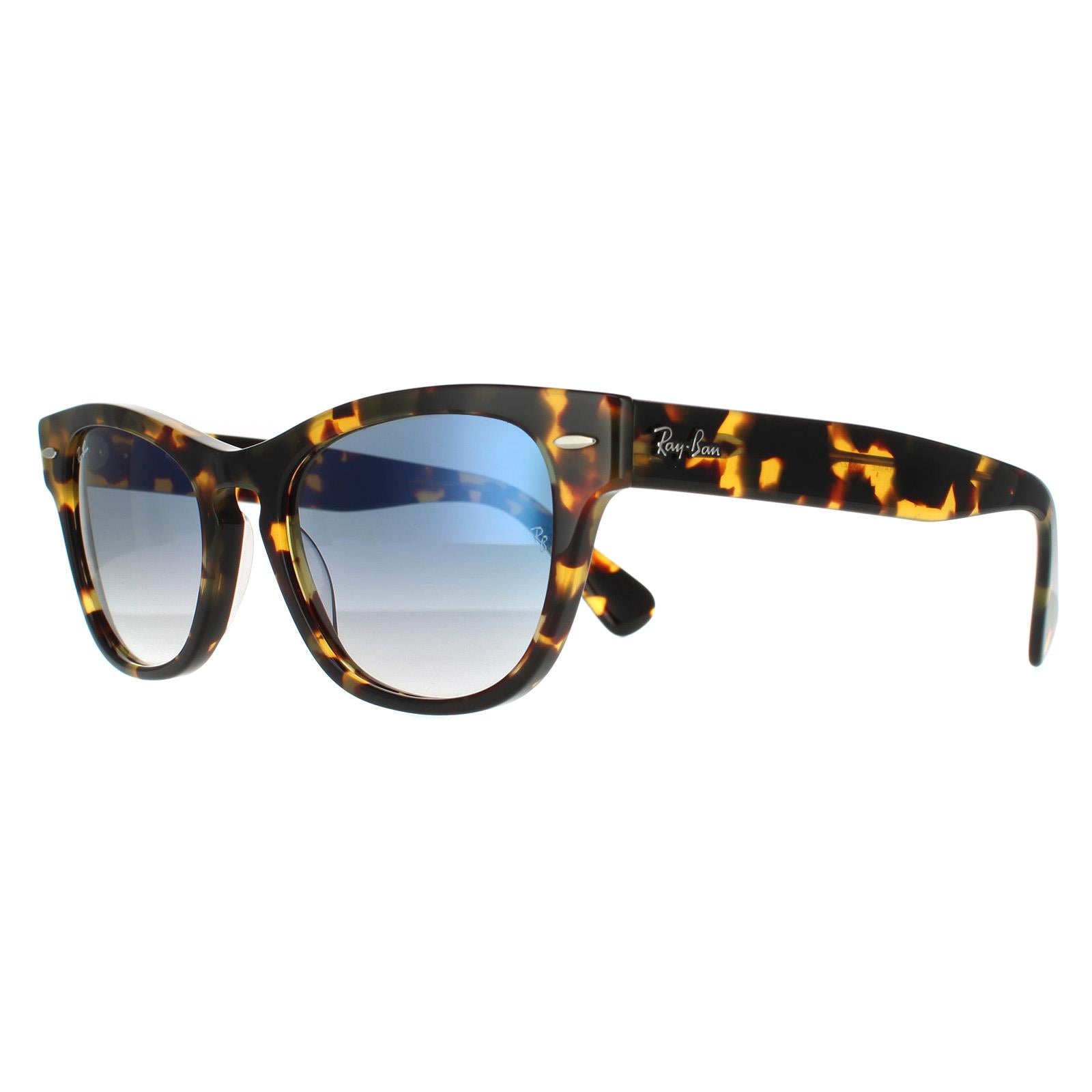 Ray-Ban Laramie RB2201 Unisex Brown Sunglasses