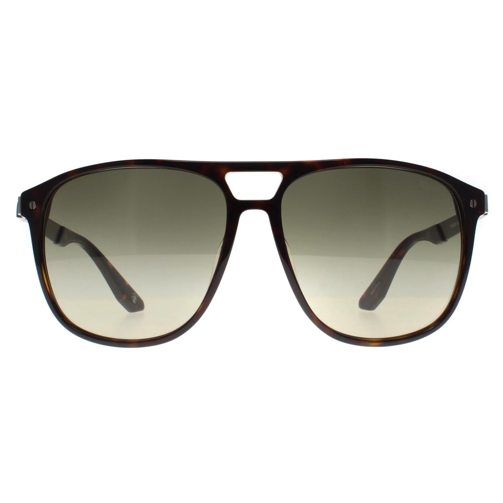 BMW BW0001 Mens Brown Sunglasses