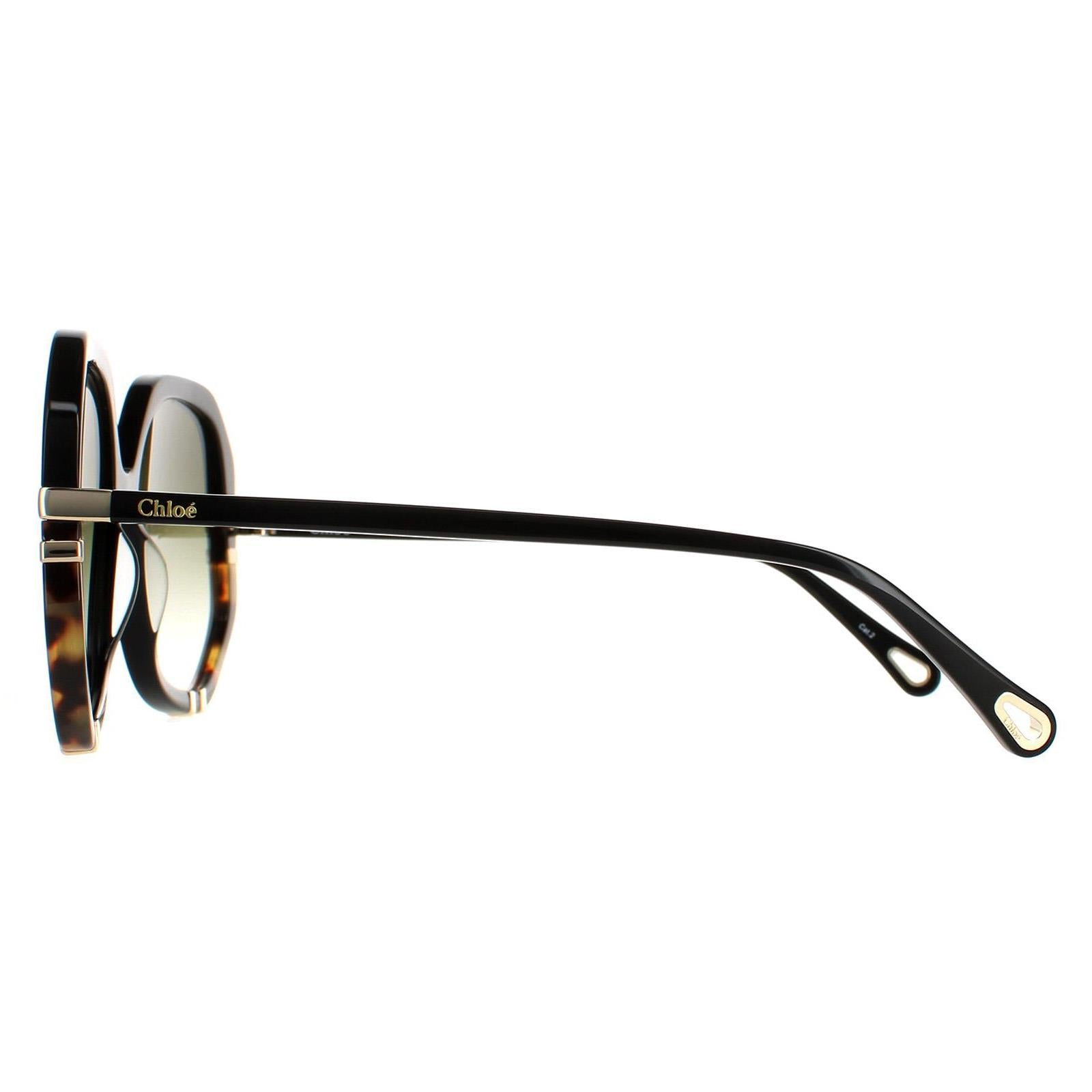 Chloe CH0105S Womens Black Sunglasses