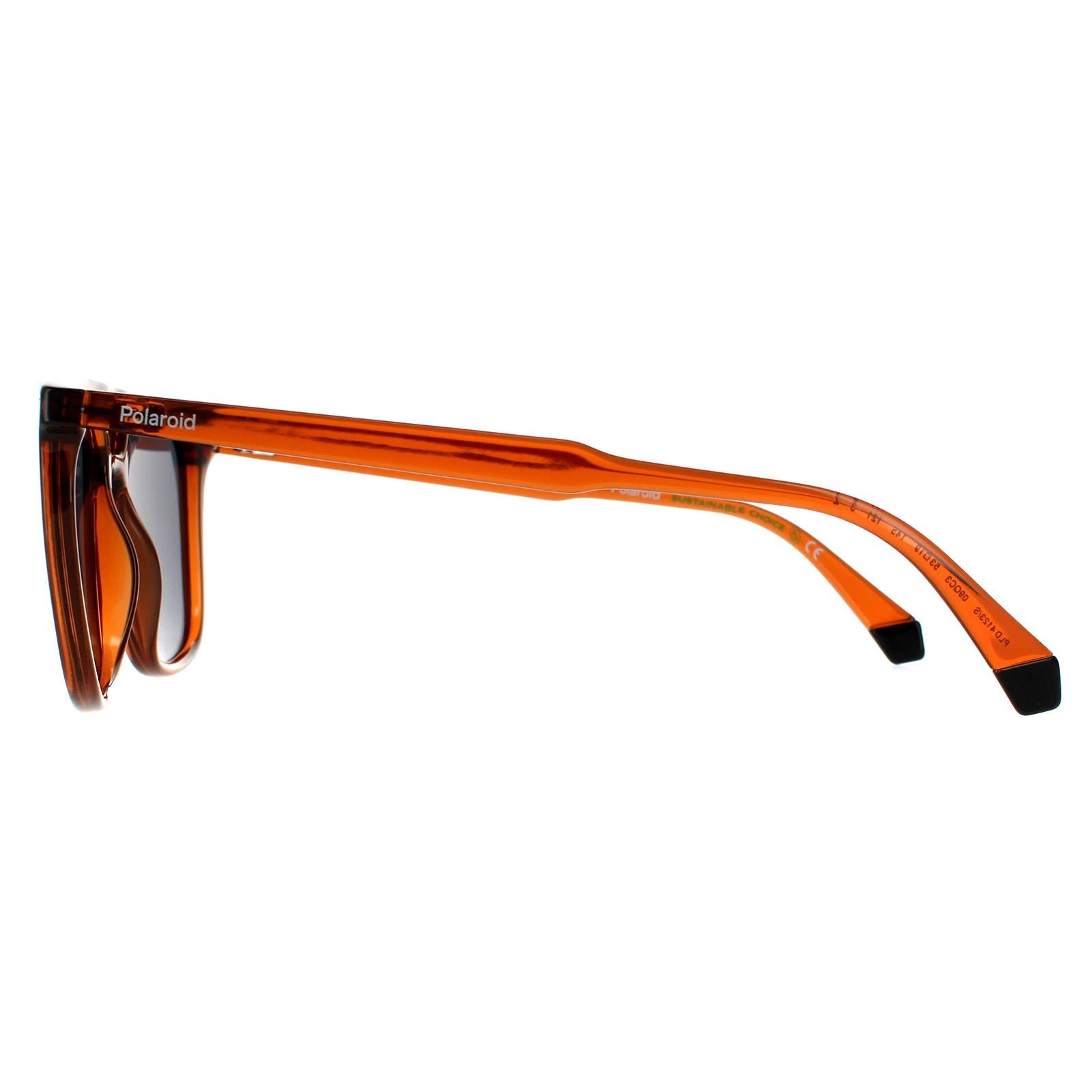 Polaroid PLD 4123/S Mens Brown Sunglasses