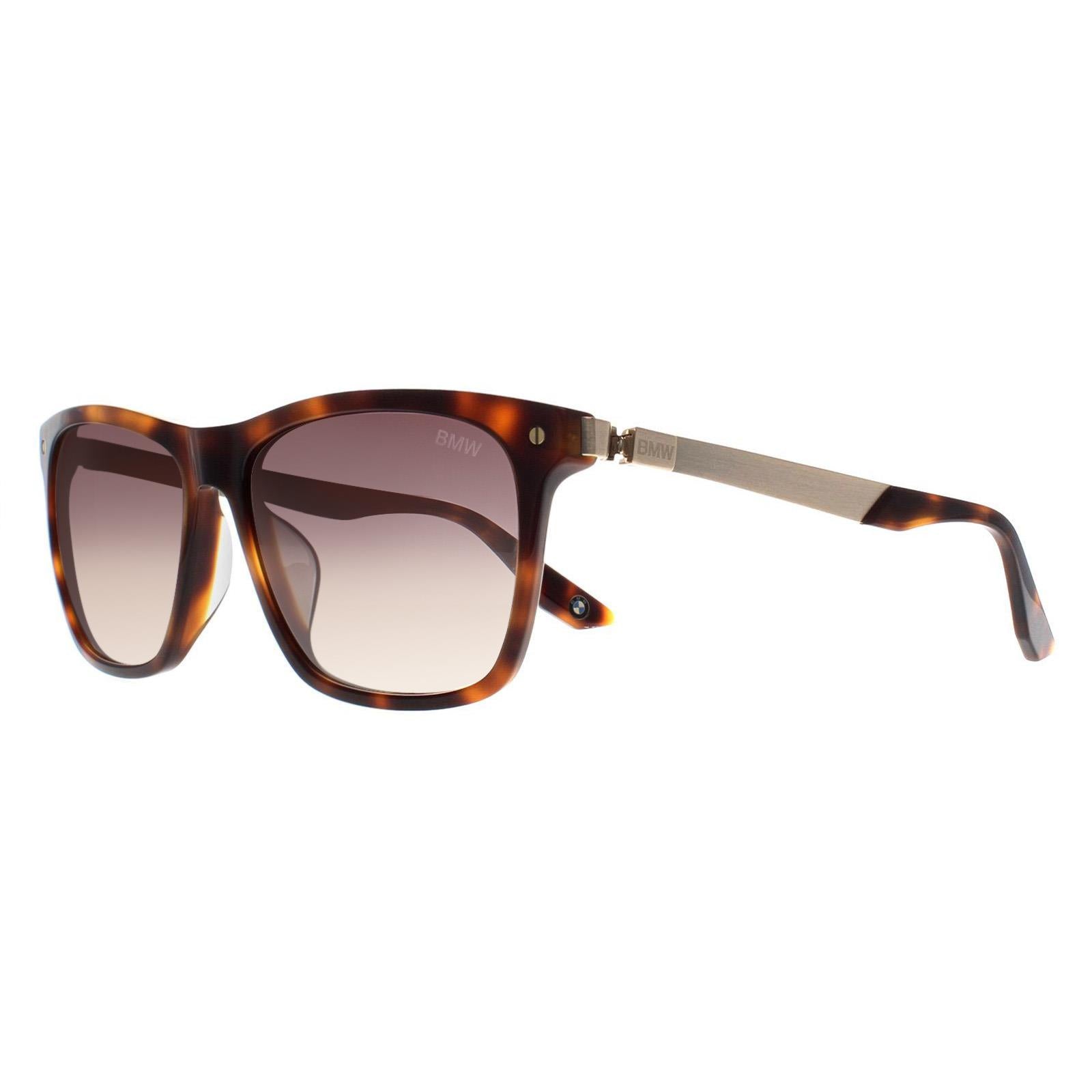 BMW BW0002-H Mens Brown Sunglasses
