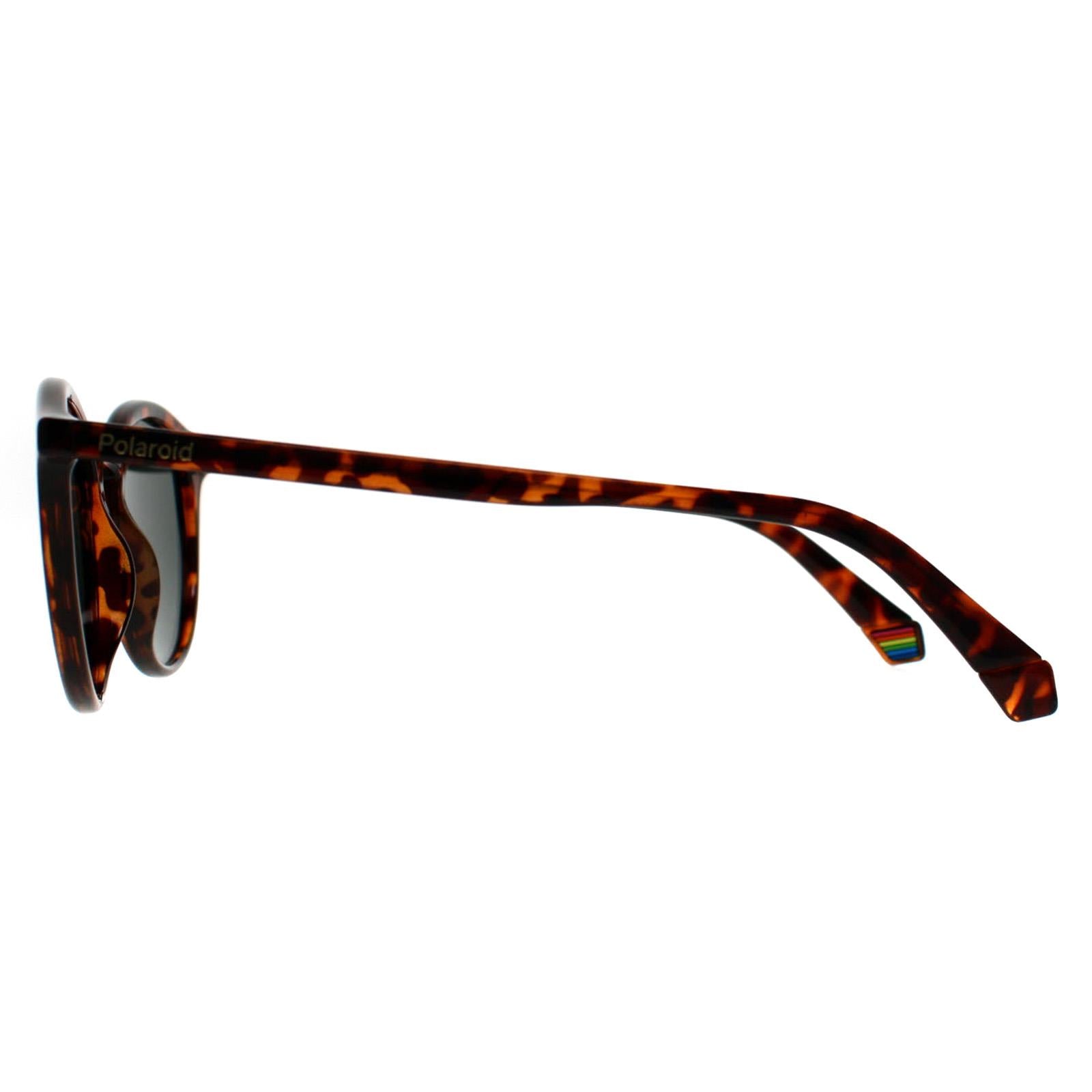 Polaroid PLD 6233/S Unisex Brown Sunglasses