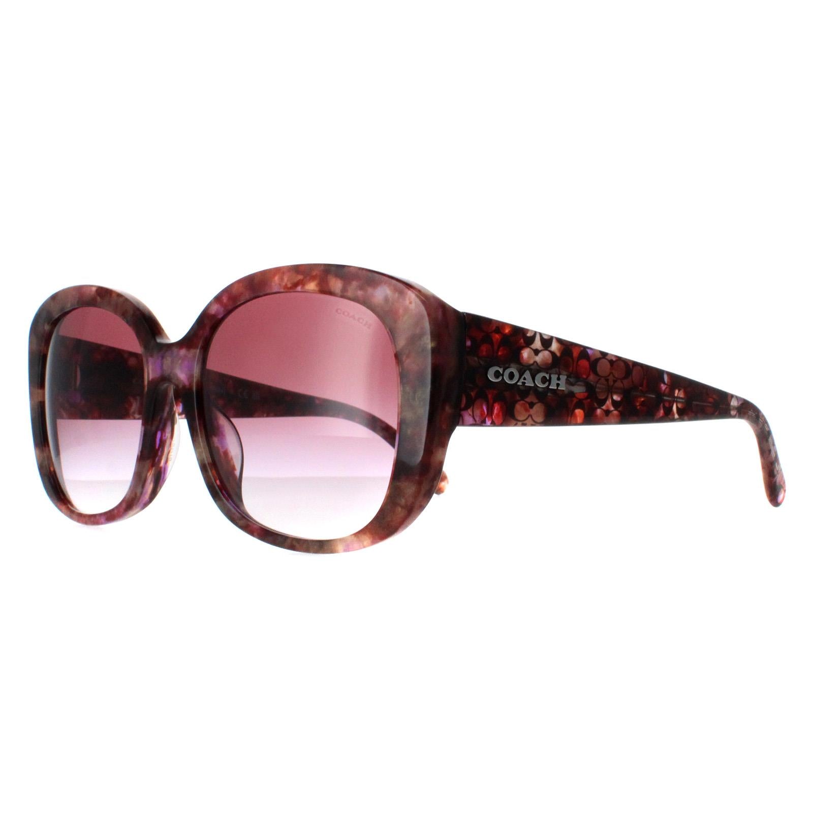 Coach HC8363U Womens Brown Sunglasses