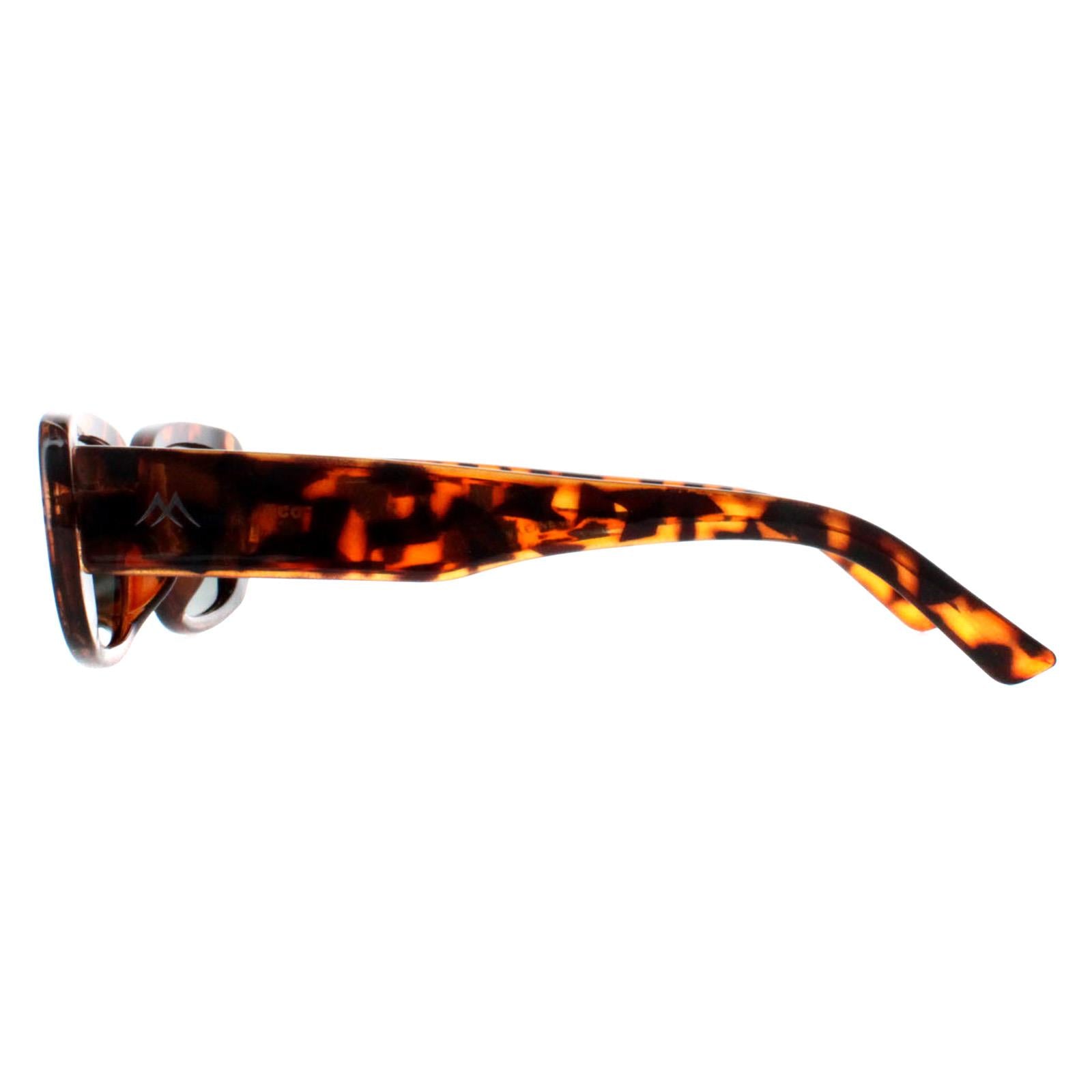 Montana MP65 Womens Brown Sunglasses
