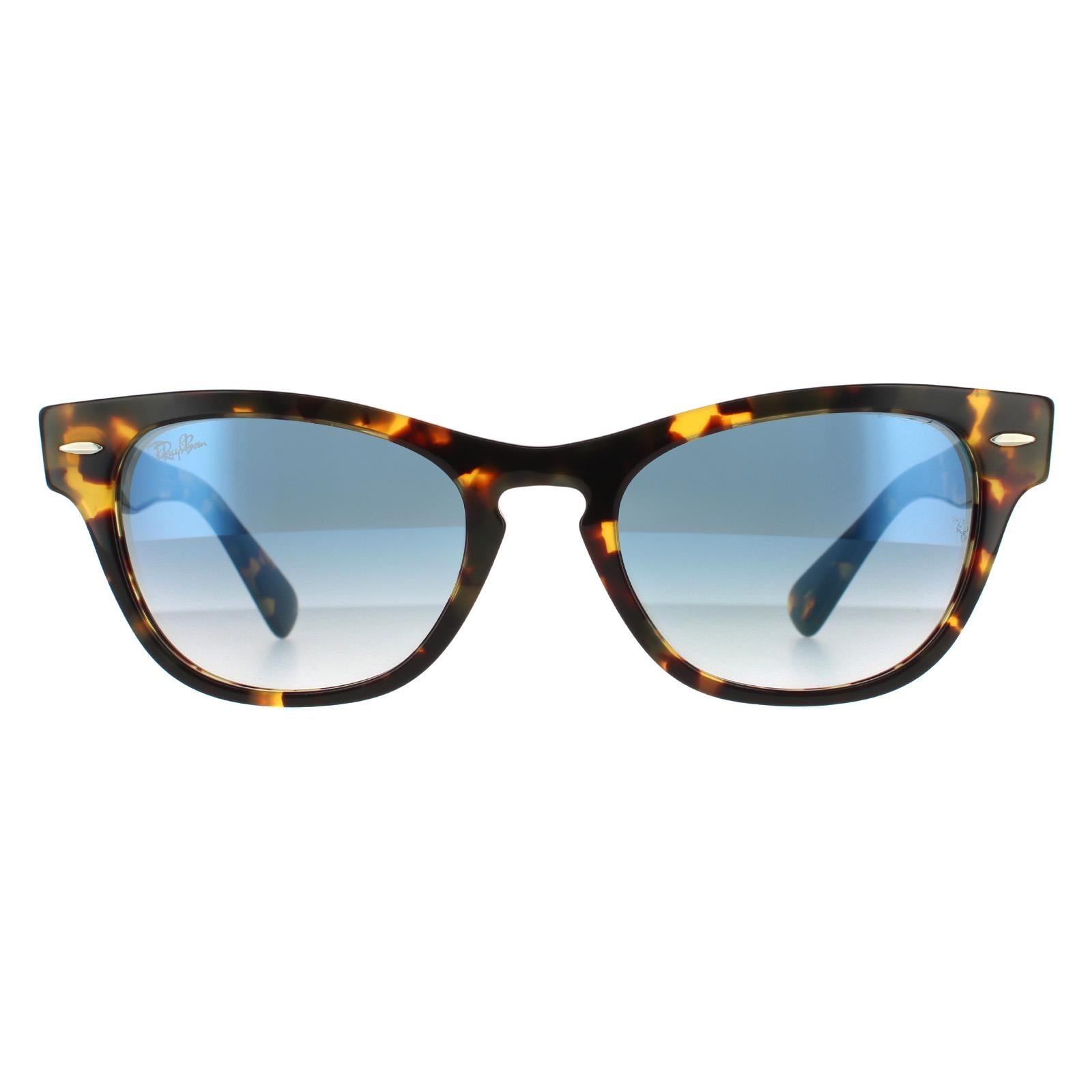 Ray-Ban Laramie RB2201 Unisex Brown Sunglasses