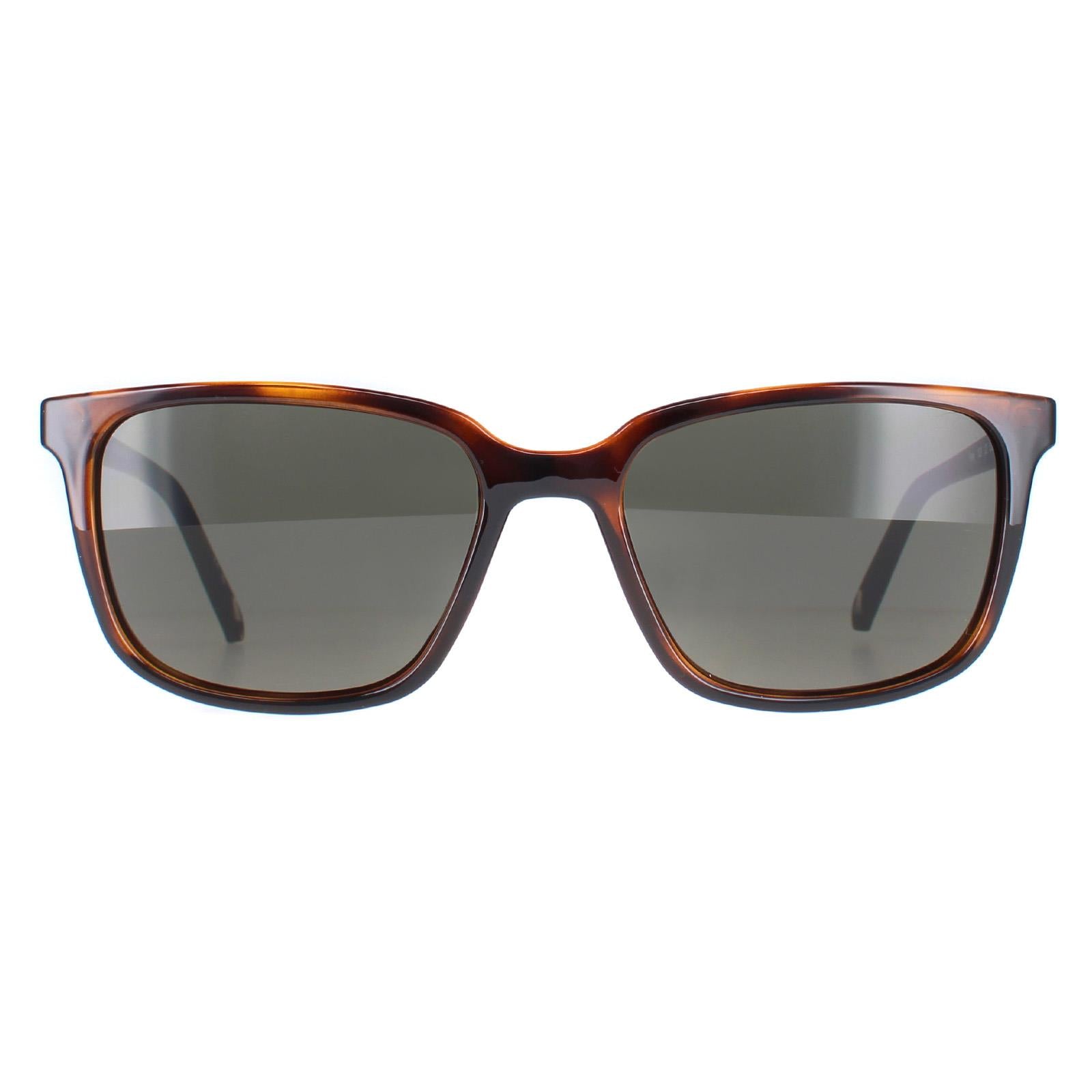 Ted Baker TB1529 Farley Mens Brown Sunglasses