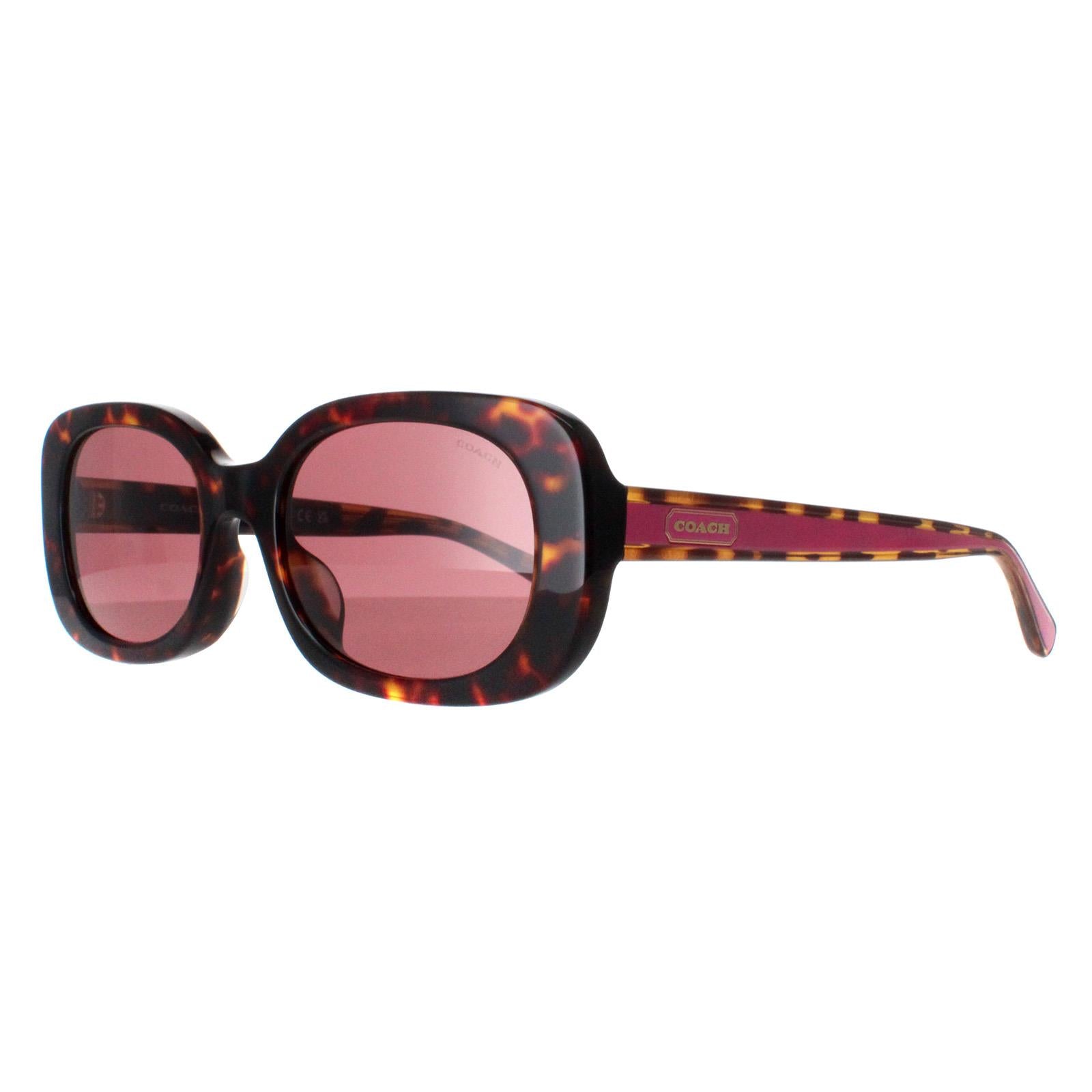 Coach HC8358U Womens Brown Sunglasses