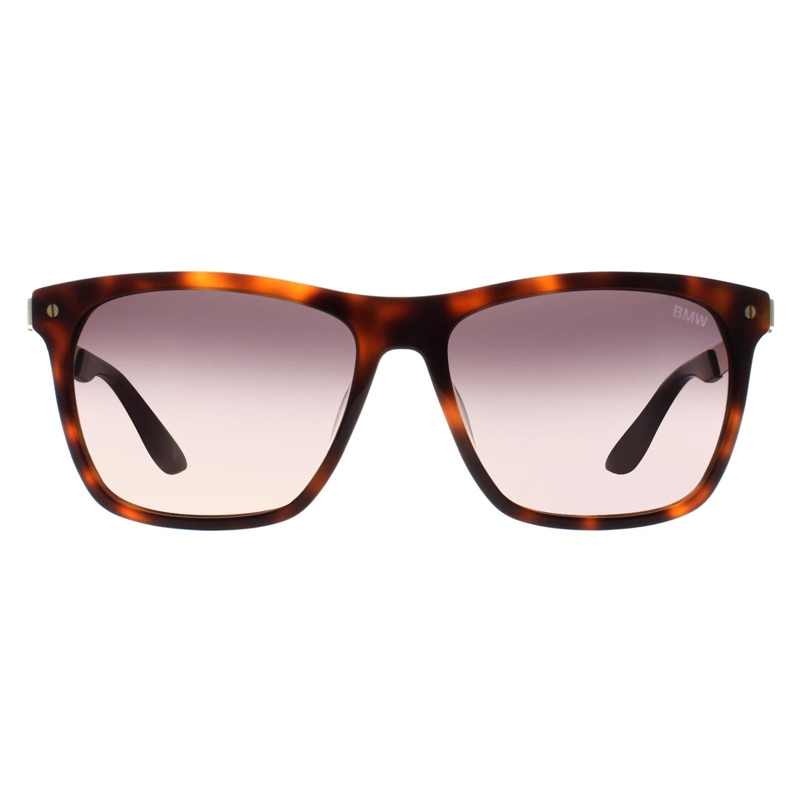 BMW BW0002-H Mens Brown Sunglasses