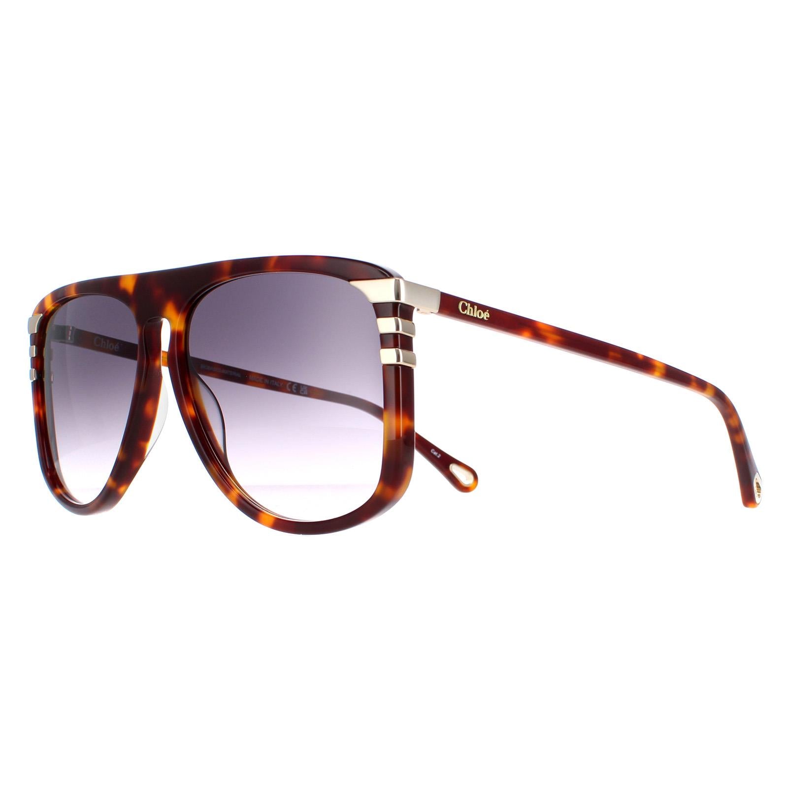 Chloe CH0104S Womens Brown Sunglasses