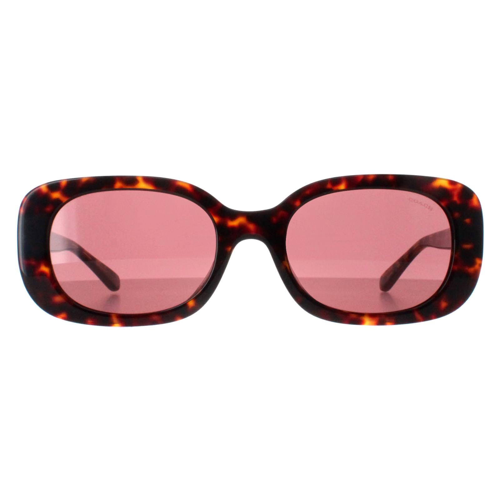 Coach HC8358U Womens Brown Sunglasses