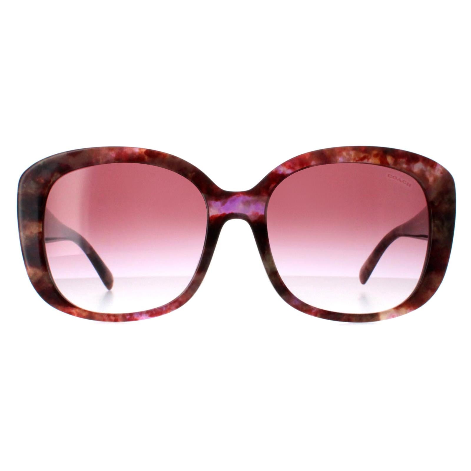 Coach HC8363U Womens Brown Sunglasses