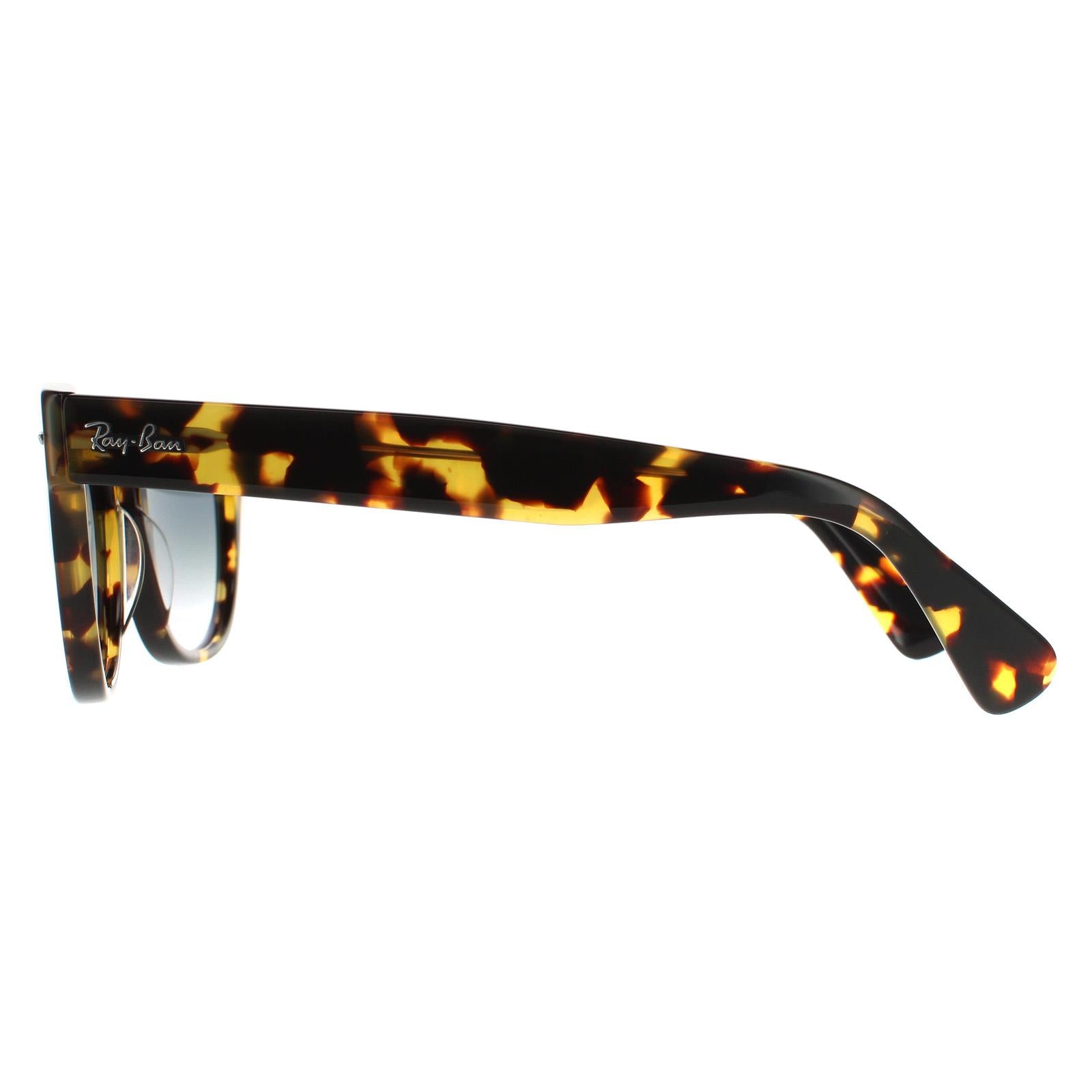 Ray-Ban Laramie RB2201 Unisex Brown Sunglasses