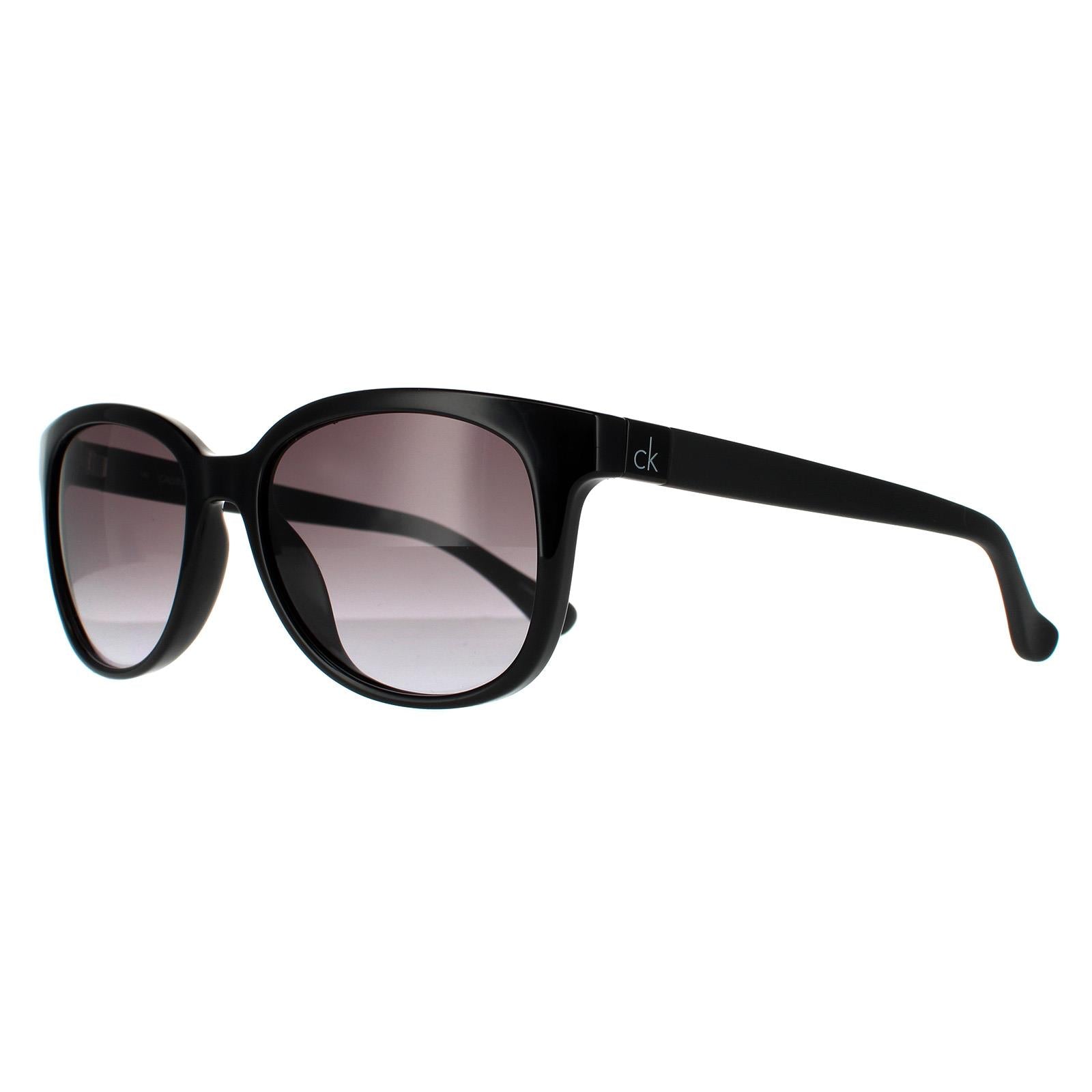 Calvin Klein CK3176S Unisex Black Sunglasses