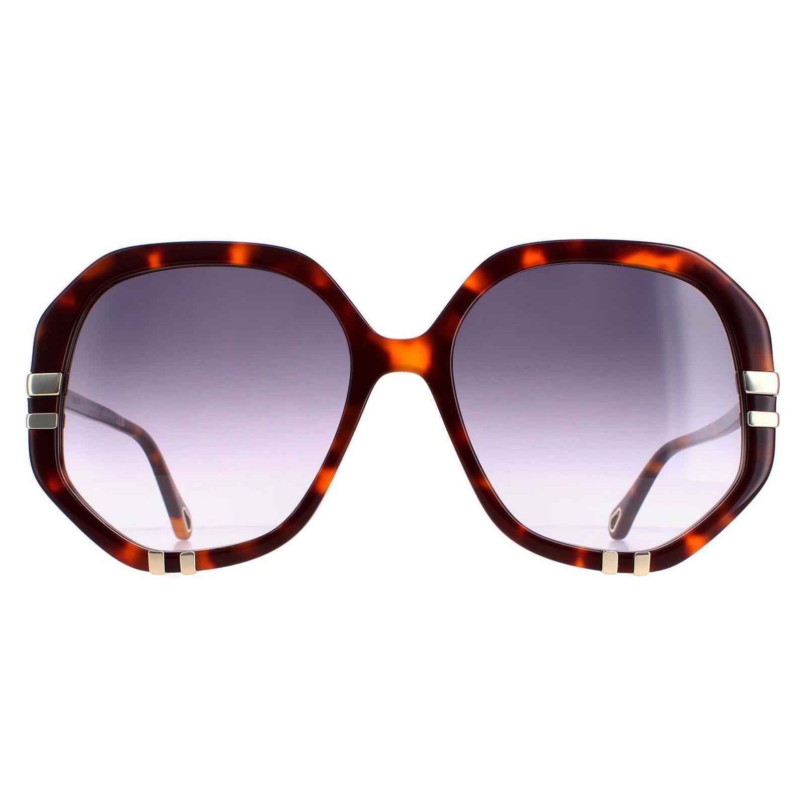 Chloe CH0105S Womens Brown Sunglasses
