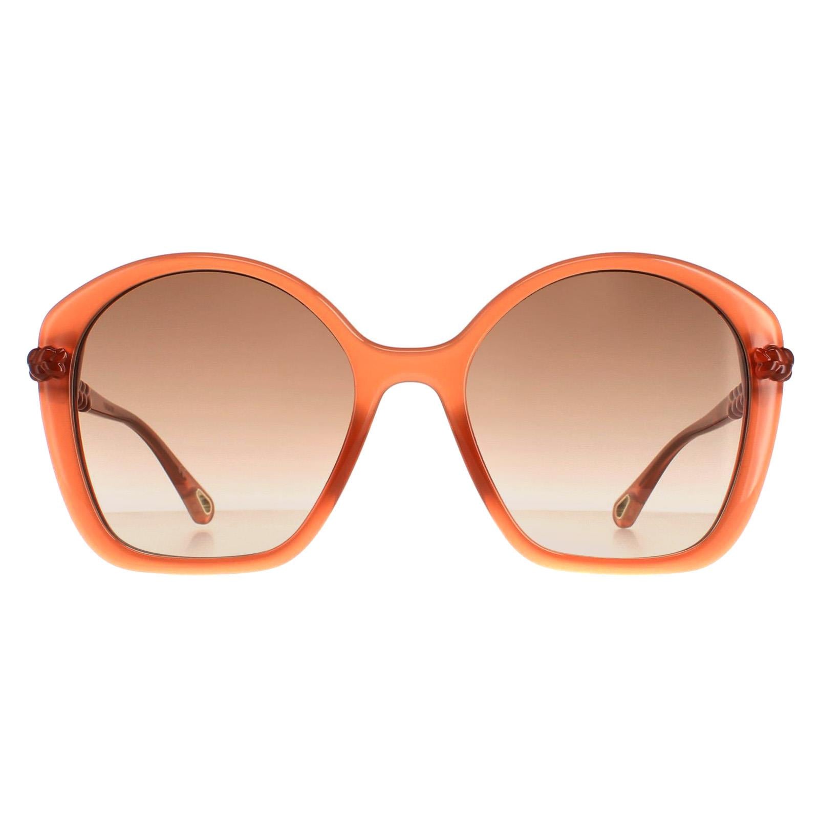 Chloe CH0003S Womens Pink Sunglasses